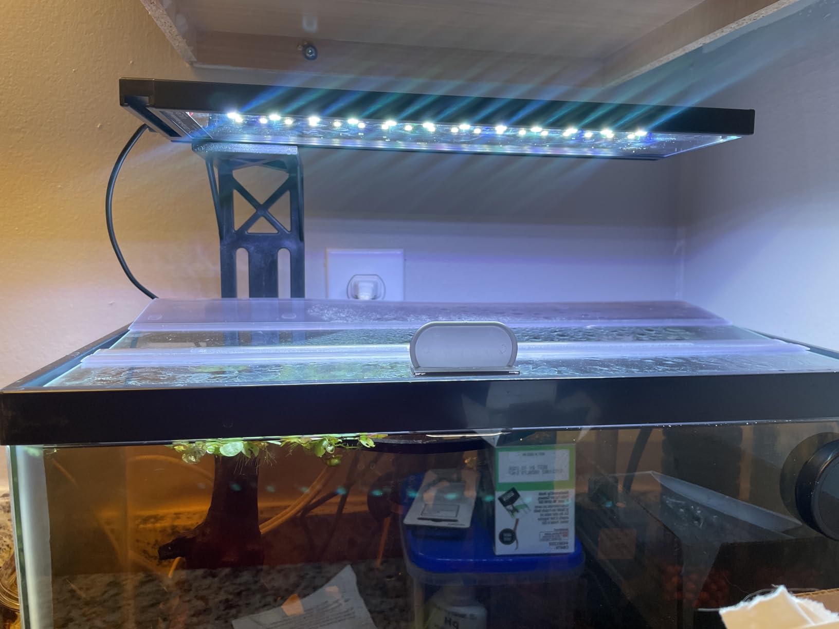 SEAOURA Clip On Aquarium Light for Plants-24/7 Cycle Fish Tank Light with Timer, Full Spectrum+7 Colors Mode, Auto On/Off, Adjustable Brightness and Height, 12W (7inch for 7-12 inch Tank) customer photo 1