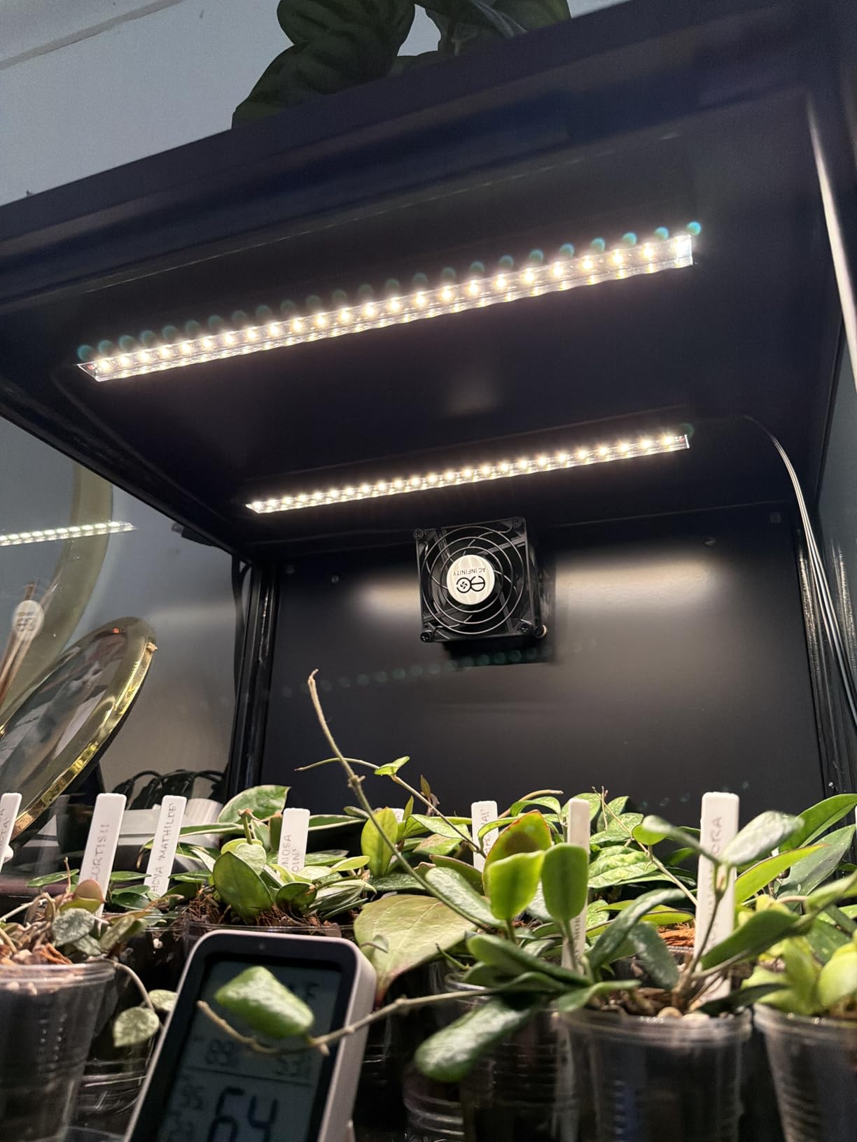 Barrina T5 Grow Lights for Indoor Plants, Full Spectrum Grow Light, 1ft LED Plant Light, Black Cover LED Grow Light Strips, 3 Mounting Modes, Magnetic Installation, Plug and Play, 5000K, 4 Packs customer photo 1