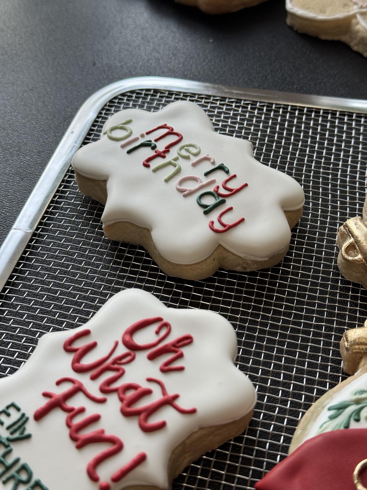 COSORI Food Dehydrator for Jerky, 176°F Temperature Control, 5 Stainless Steel Trays with 5.1 ft² Drying Space, 4 Presets, 48H Timer, for Dog Treats, Meat, Fruit, Veggies, Snacks, Bright-Silver customer photo 1