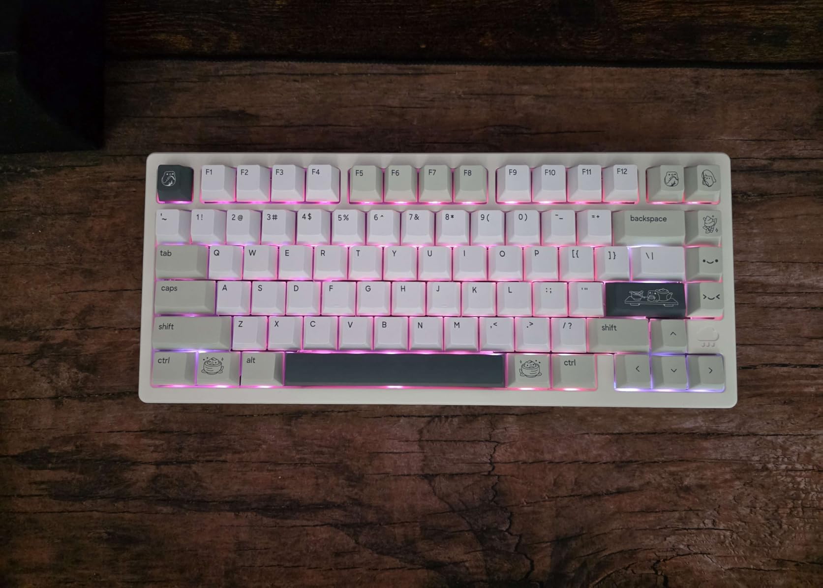 Akko V3 Penguin Tactile Silent Keyboard Switch for Mechanical Gaming Keyboard, 5-Pin 50gf Quiet Pre-Lubed Switches with Standard MX Structure (45pcs) customer photo 1