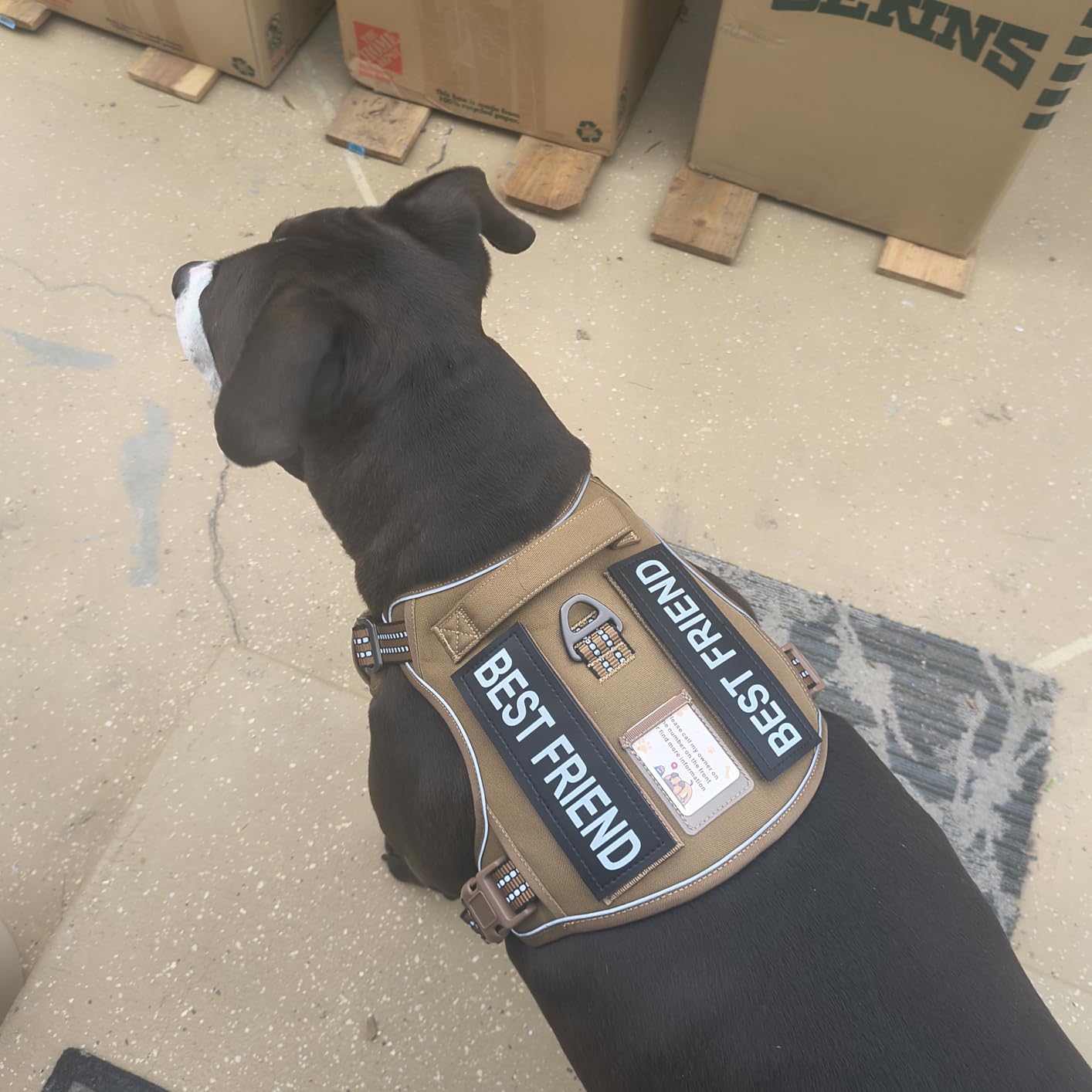 Heavy Duty Tactical Dog Harness for Large Dogs, No Pull Adjustable Pet Harness Reflective Service Training Easy Control Pet Vest Military K9 Working Dog Harnesses- Large, Brown customer photo 1