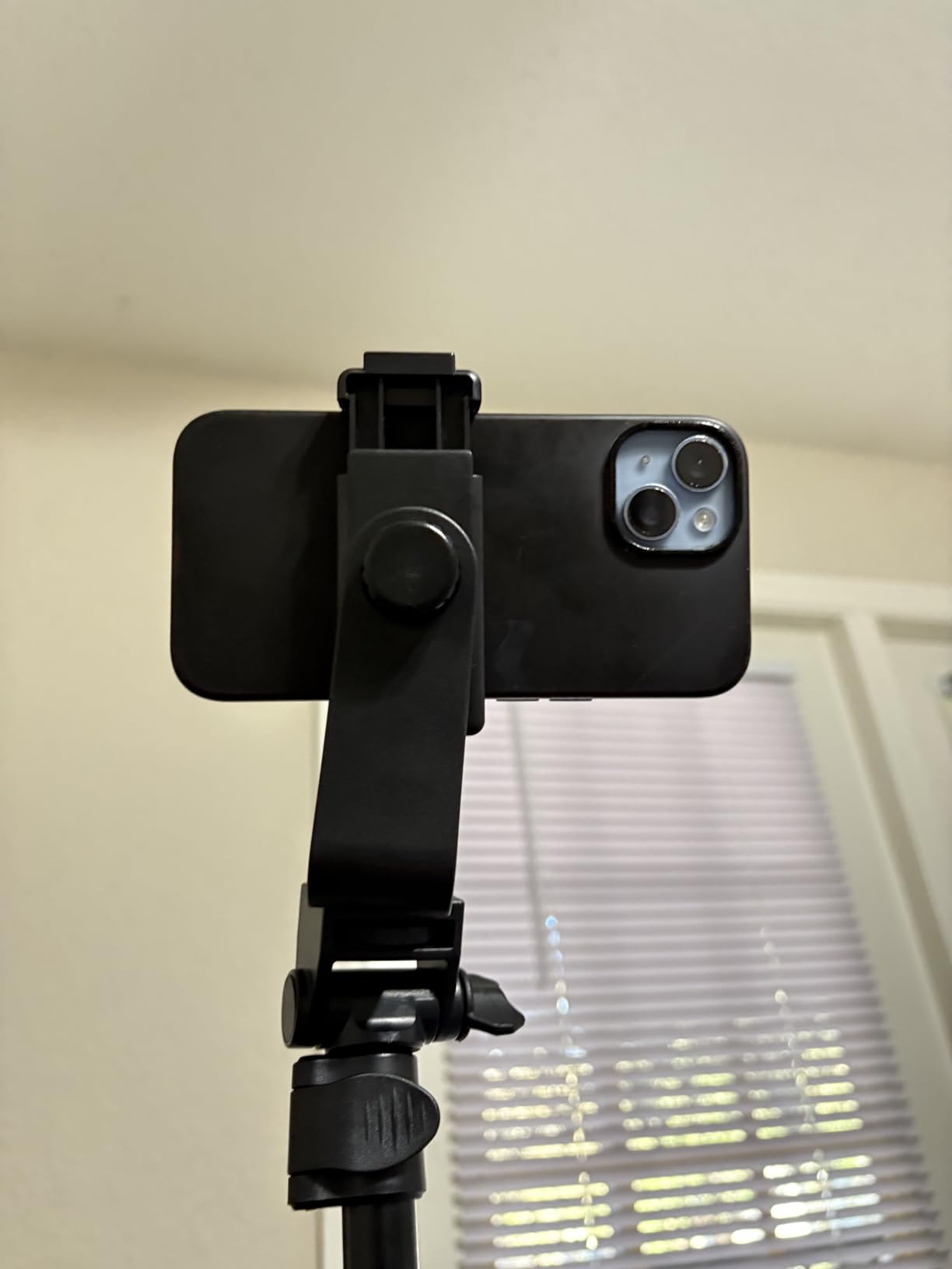 64