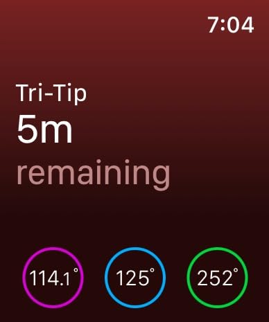 MEATER Pro: Smart Bluetooth Wireless Meat Thermometer Digital | 1000F Heat Resistance | Long Range | Certified Accuracy | BBQ, Oven, Grill, Smoker, Air Fryer, Deep Fryer customer photo 1