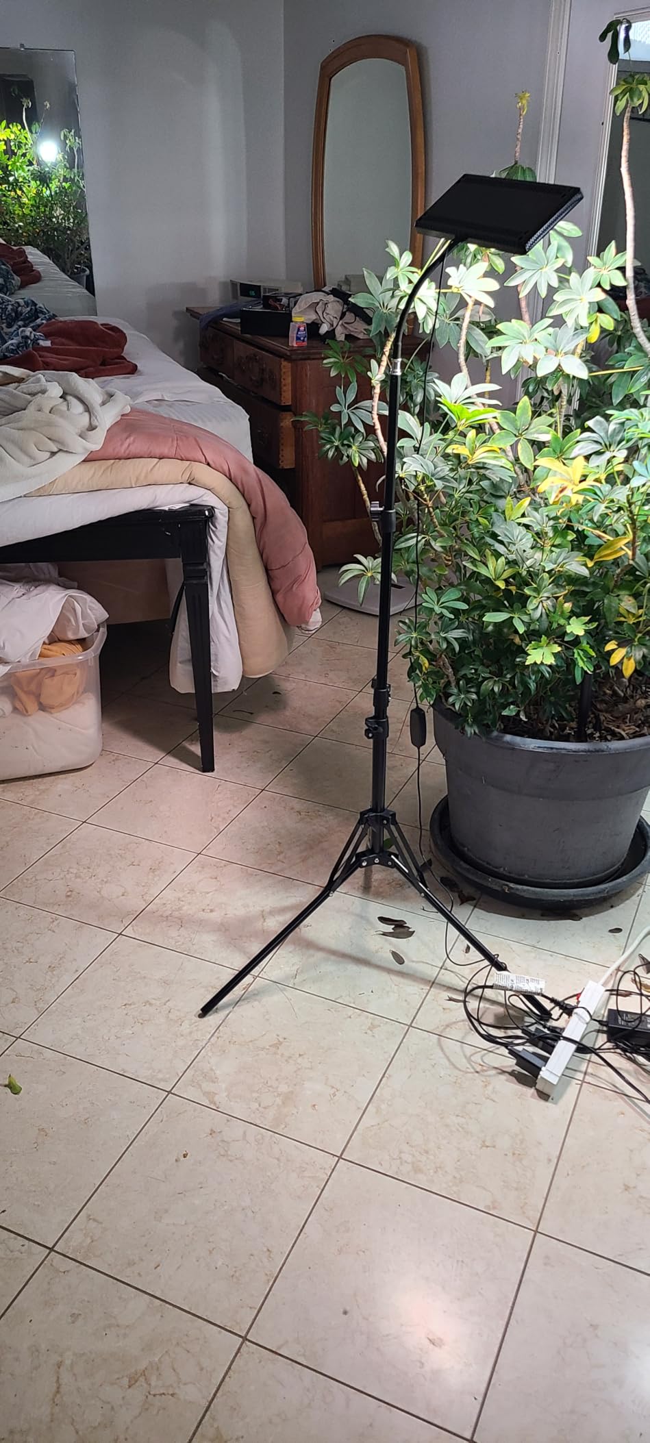 LBW Grow Light for Indoor Plants, 642 LEDs Grow Light with Stand customer photo 1