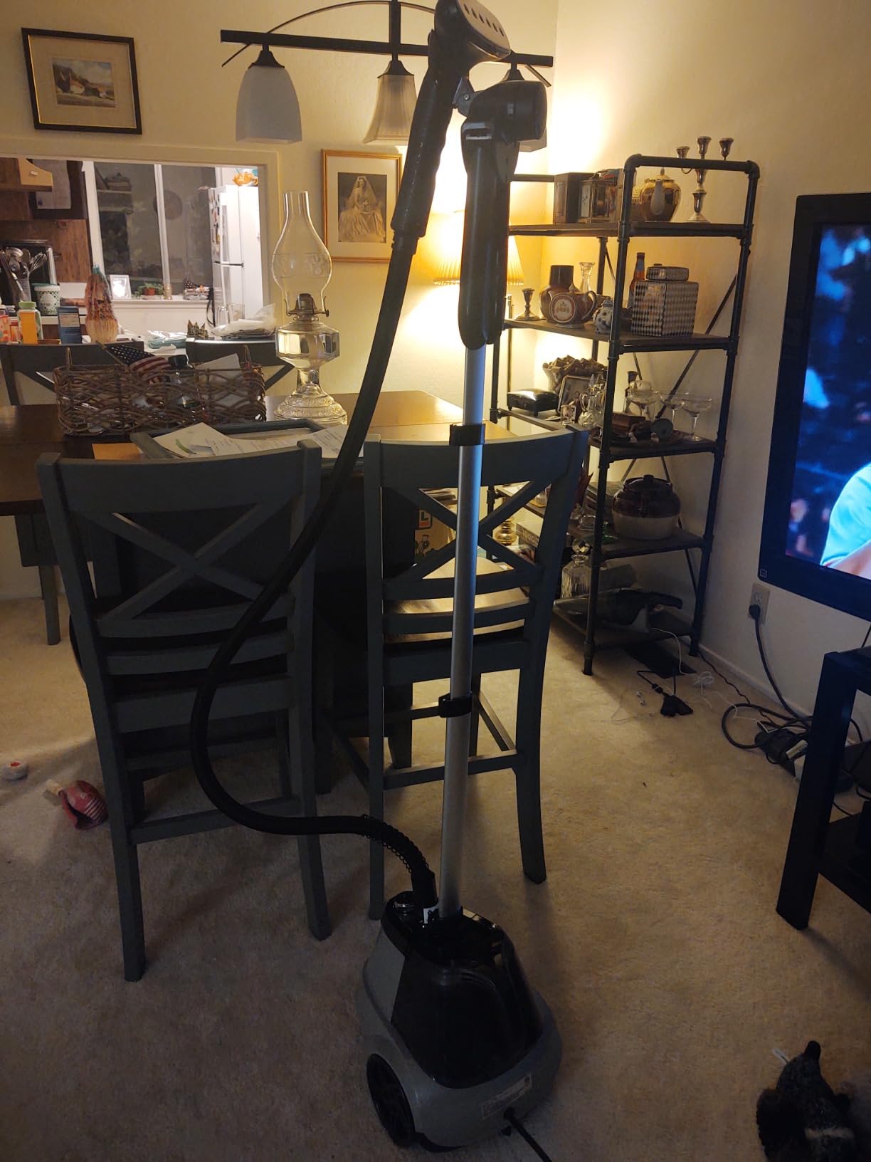 True & Tidy Heavy Duty Commercial Full Size Standing Garment Steamer for Clothes with Extra Large 3L (101 oz) Water Tank for 90+ mins of Steam Time, 1800 watts of Powerful Steam, 3 Settings, Gray customer photo 1