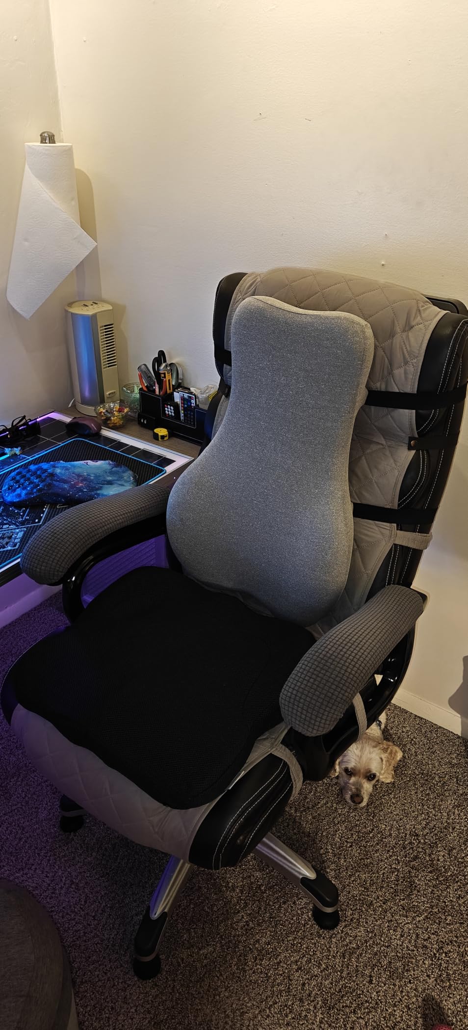 Thicken 19.7in Seat Cushion, Gel Seat Cushion for Long Sitting - Office Chair, Wheelchair, Car Pad, Large Cooling Support Pad for Back Pain, Sciatica, Tailbone Pain Relief customer photo 1