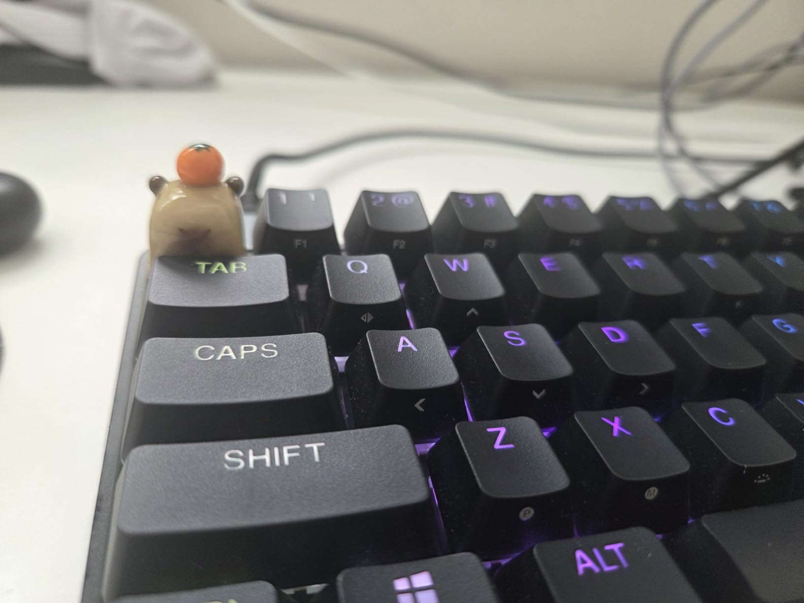 Cartoon Capybara Keycap,Custom 3D Handmade Clay Artisan ESC Keycap,Cute Keycaps Personalized Replacement Key Caps for Cherry MX Mechanical Gaming Keyboard customer photo 1