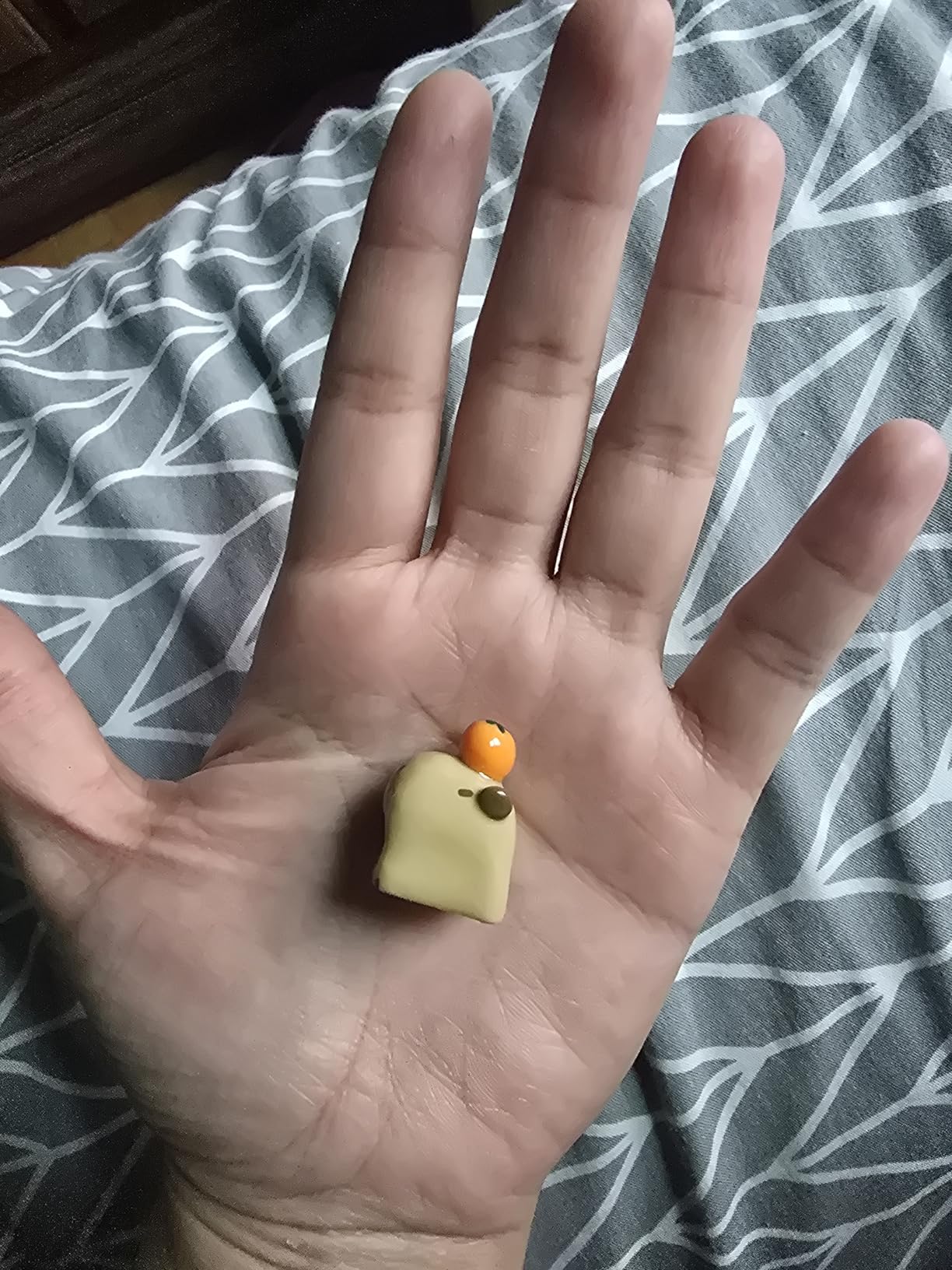 Cartoon Capybara Keycap,Custom 3D Handmade Clay Artisan ESC Keycap,Cute Keycaps Personalized Replacement Key Caps for Cherry MX Mechanical Gaming Keyboard customer photo 2