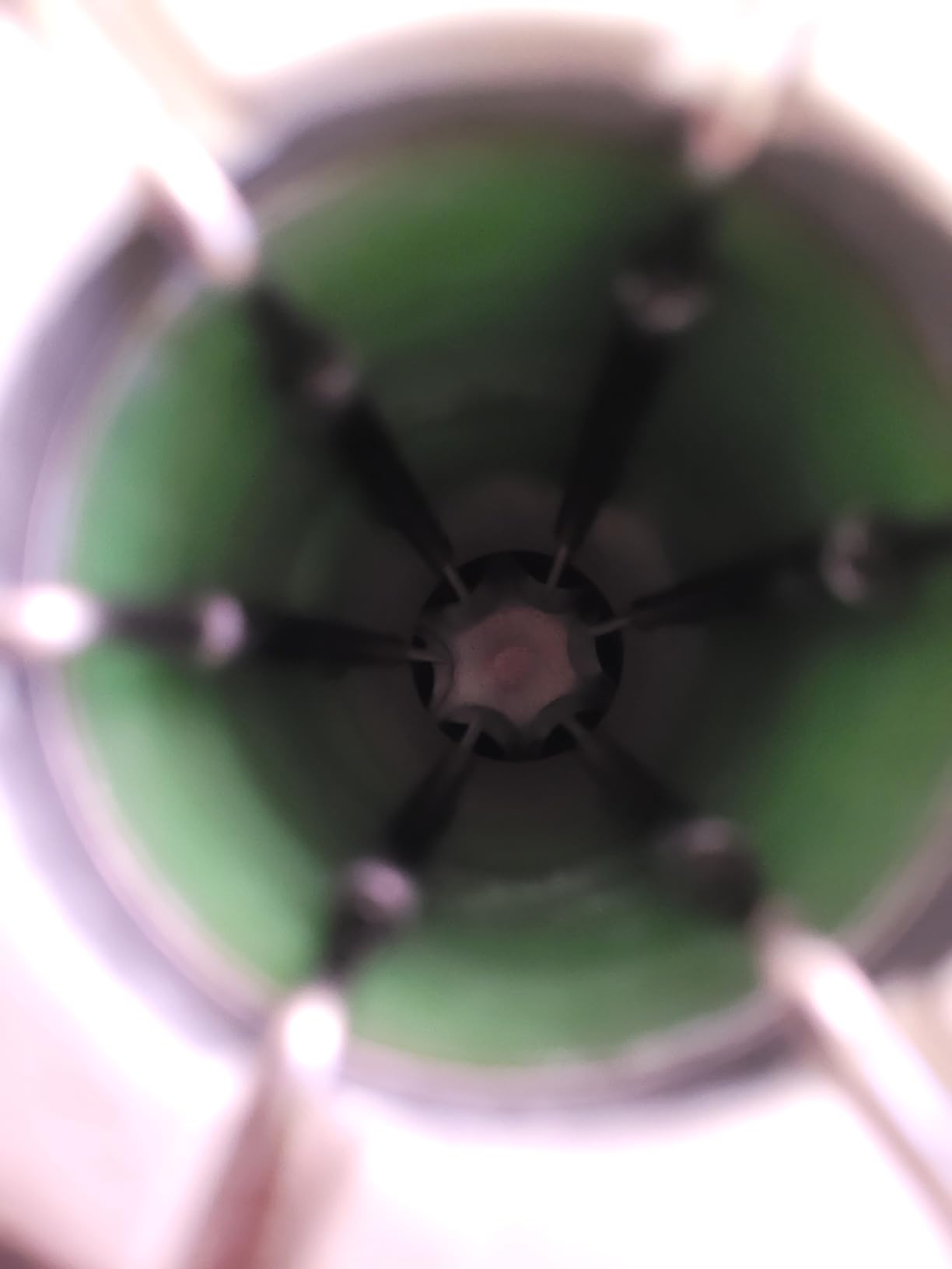 3L Liquid Nitrogen Tank, Aluminum Alloy Cryogenic Container Liquid Nitrogen (LN2) Dewar, Semen Tank, Liquid Nitrogen Dewar with 6 Canisters & Carry Bag (3L) customer photo 1