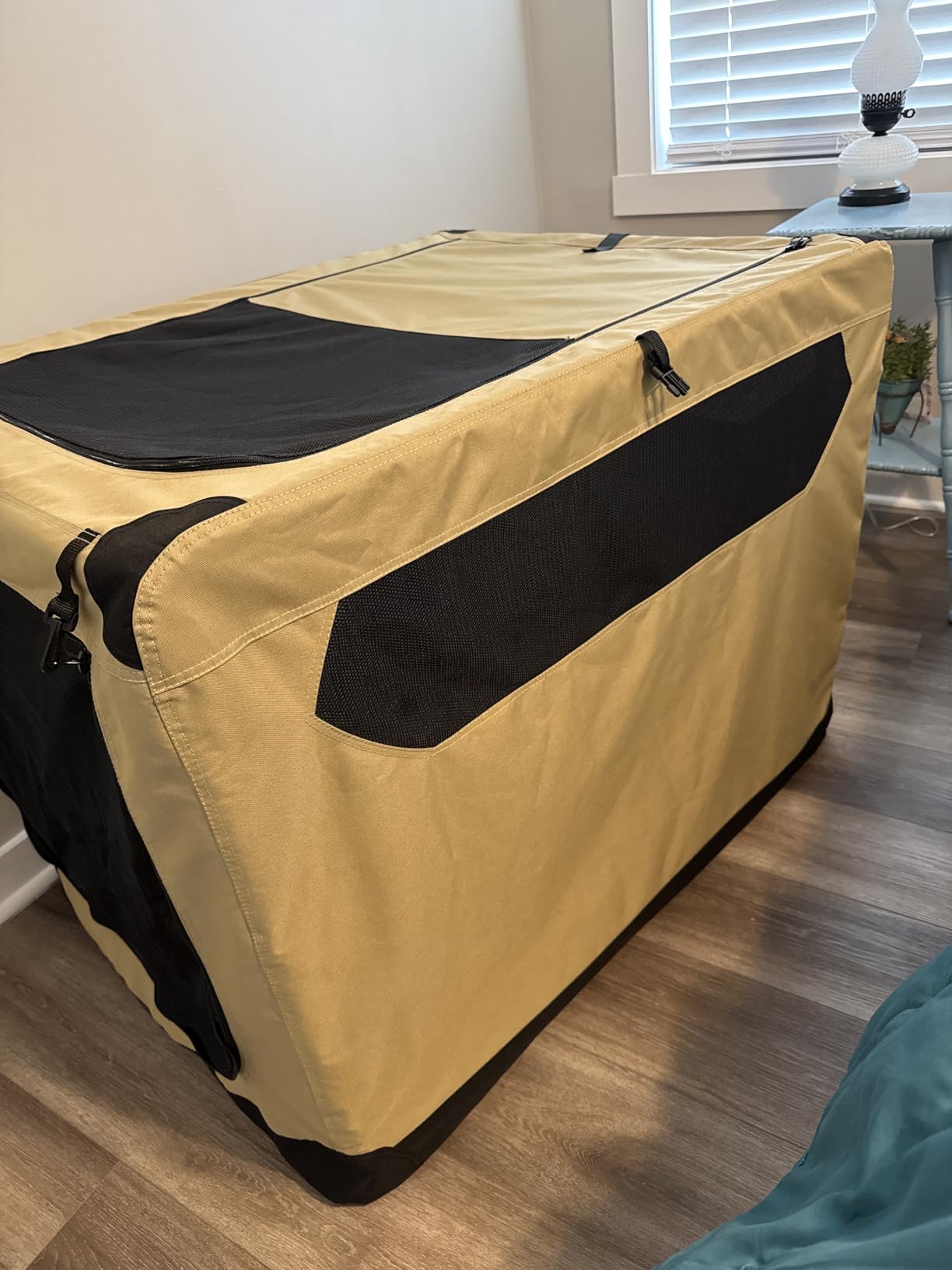 Amazon Basics 4-Door Portable Folding Soft Dog Crate, Collapsible Travel Kennel for Cat, Dog, and Other Small Animals, Pop Up with Easy Transportation, Grey, M 30