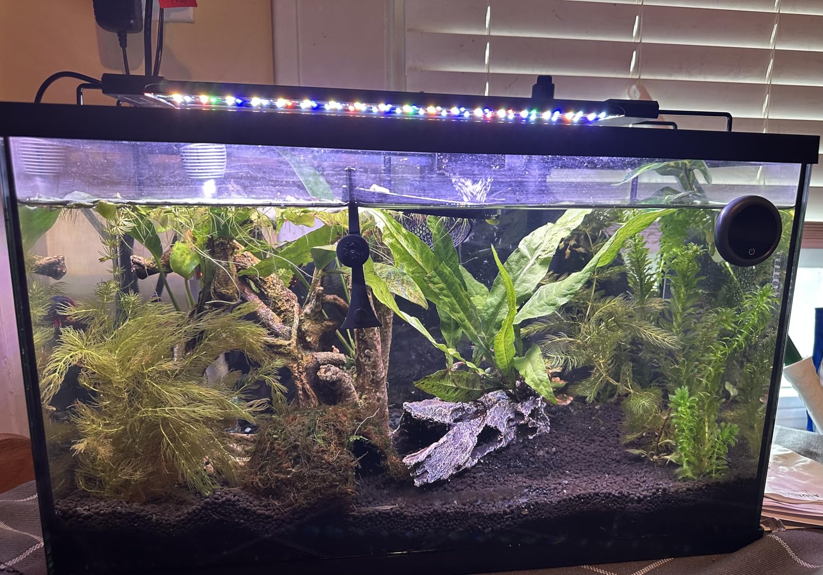 AQQA LED Aquarium Light, 24/7 Mode IP68 Waterproof Extendable Bracket Fish Tank Light, DIY Mode Full Spectrum Aquarium Plant Light, Adjustable Timer/Brightness Memory Function for 18-24 Inch Fish Tank customer photo 2