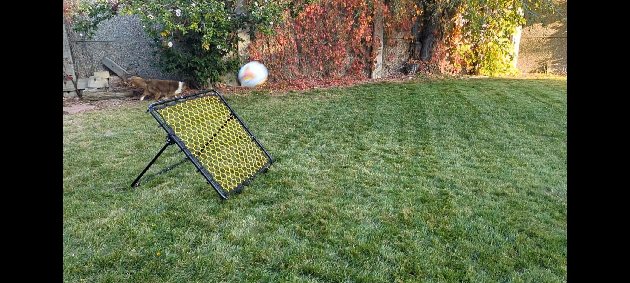 Happy Jump Portable Soccer Rebounder Net for Kids Soccer Training Practice customer photo 1