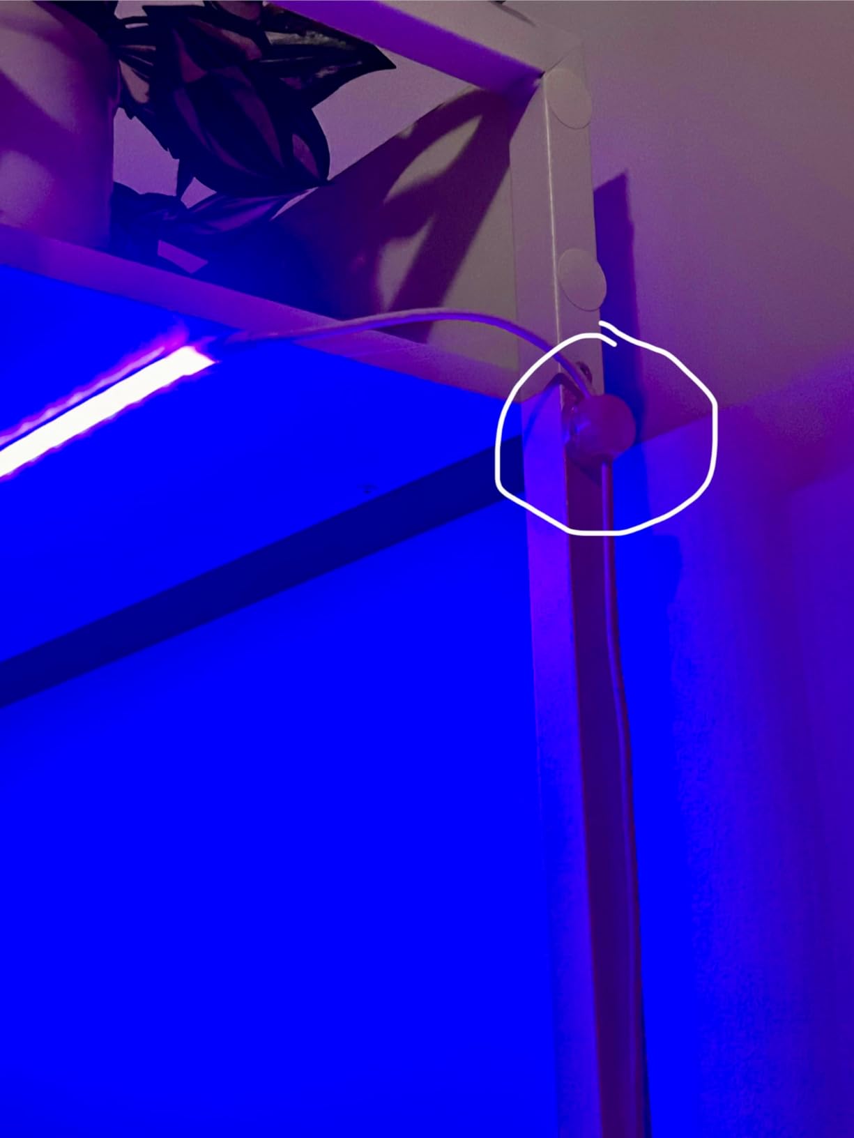 SEDETA Gaming Desk, 60'' Gaming Desk with Hutch and LED Lights, Computer Desk with Storage Shelves, Large PC Gamer Desk with Display Cabinet, Monitor Stand, Power Outlet for Home Office, Black customer photo 1