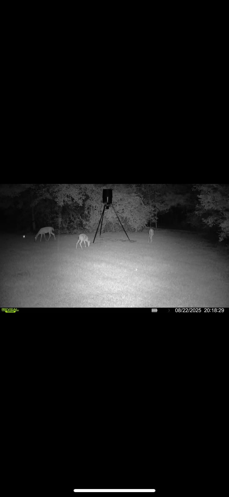 TACTACAM Reveal X 3.0 Cellular Trail Camera - Auto Connect 4G LTE, 4K Photo, 1080p Video, Low-Glow IR Flash, No SD Card Needed, Long Battery Life customer photo 1