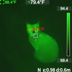 MILESEEY TR10 Thermal Imaging Camera,Super Resolution 192 x 192 Thermal Camera,25 Hz Refresh Rate, -4°F to 1022°F Handheld Infrared Imager,8-Hour Battery Life Infrared Camera customer photo 2