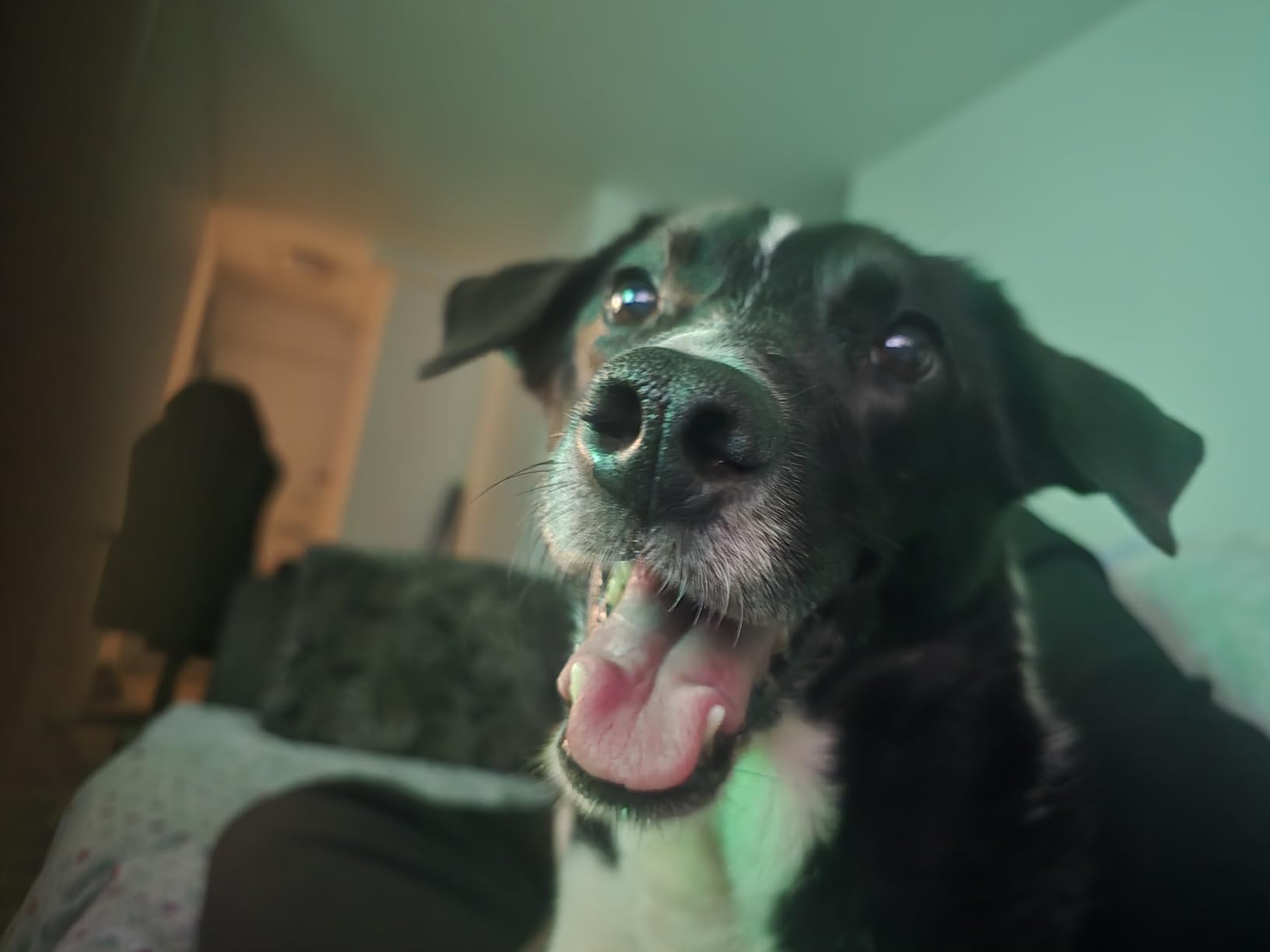 WOTOR Wine Saver Vacuum Pump with 4 Stoppers, Wine Stopper & Preserver, Reusable Bottle Sealer Keeps Fresh, Ideal Accessories Gift (Flat Handle) customer photo 1