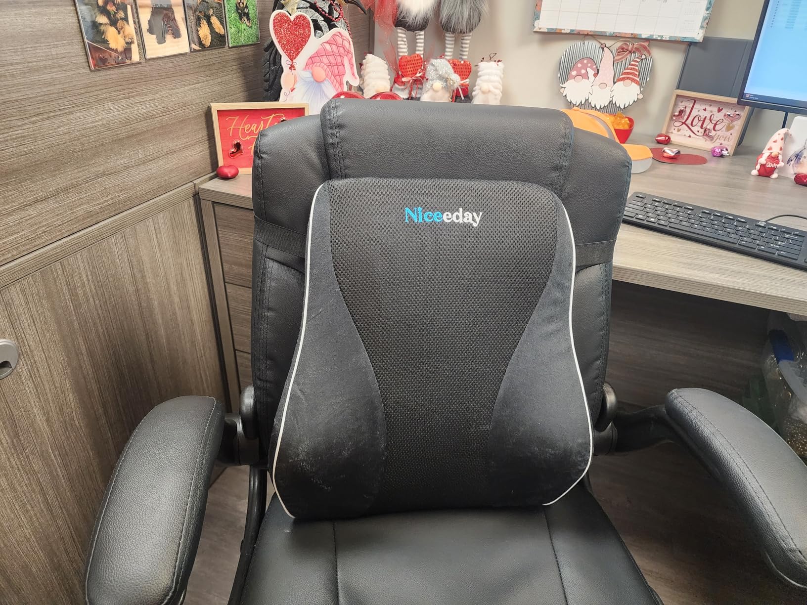 Gel Lumbar Support Pillow for Office Chair Car Gaming Chair Lower Back Pain Relief Back Support, Cooling Memory Foam Cushion for not stand the heat, 3D Mesh Cover Ergonomic Orthopedic Back Rest customer photo 1