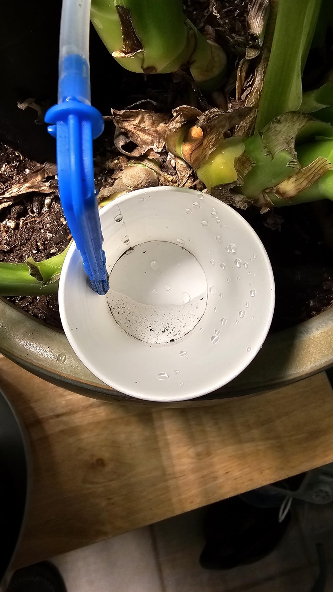 Automatic Plant Waterer Self Watering System Indoor for 15 Potted Plants Pack of 2, Auto Drip Irrigation Kit Programmable Water Timer w Smart Humidity Detection customer photo 1