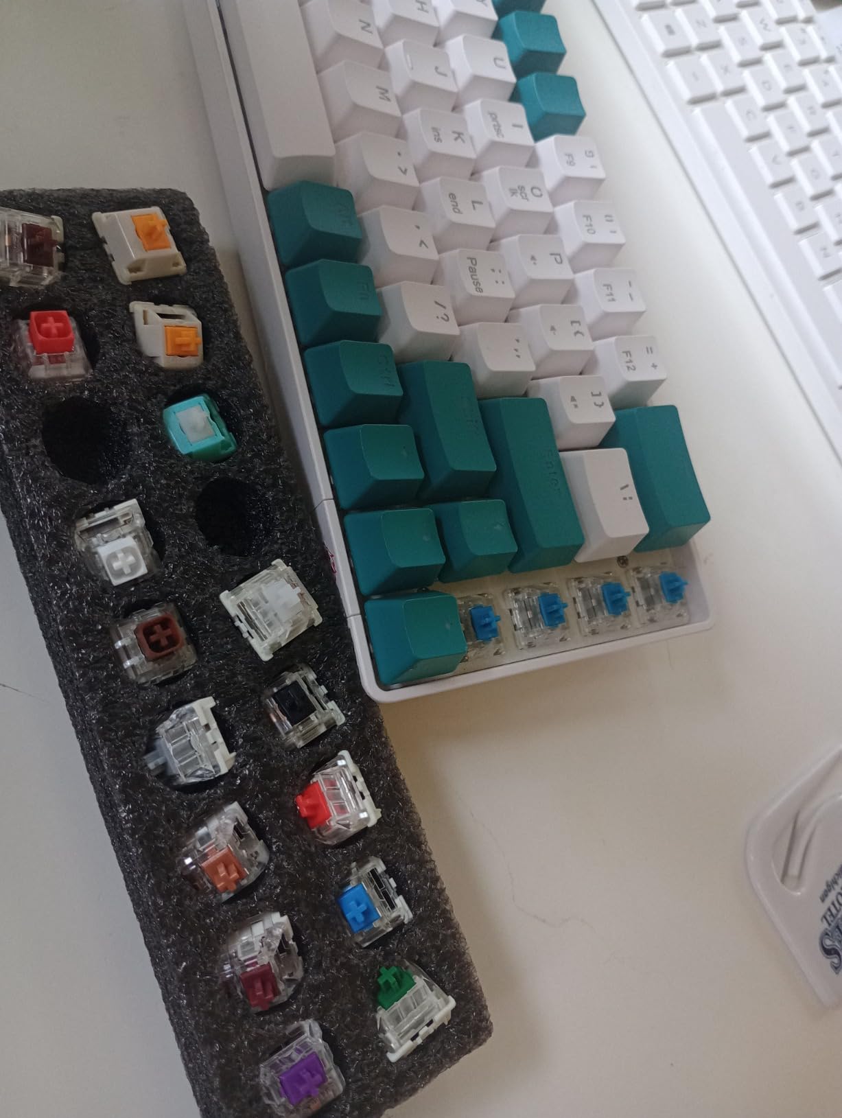 Glorious Panda Silent Tactile Hall-Effect Magnetic Switches (36-Pack), Pre-Lubed, HE Hot-Swap Compatible, Mechanical Keyboard Switch Set customer photo 1