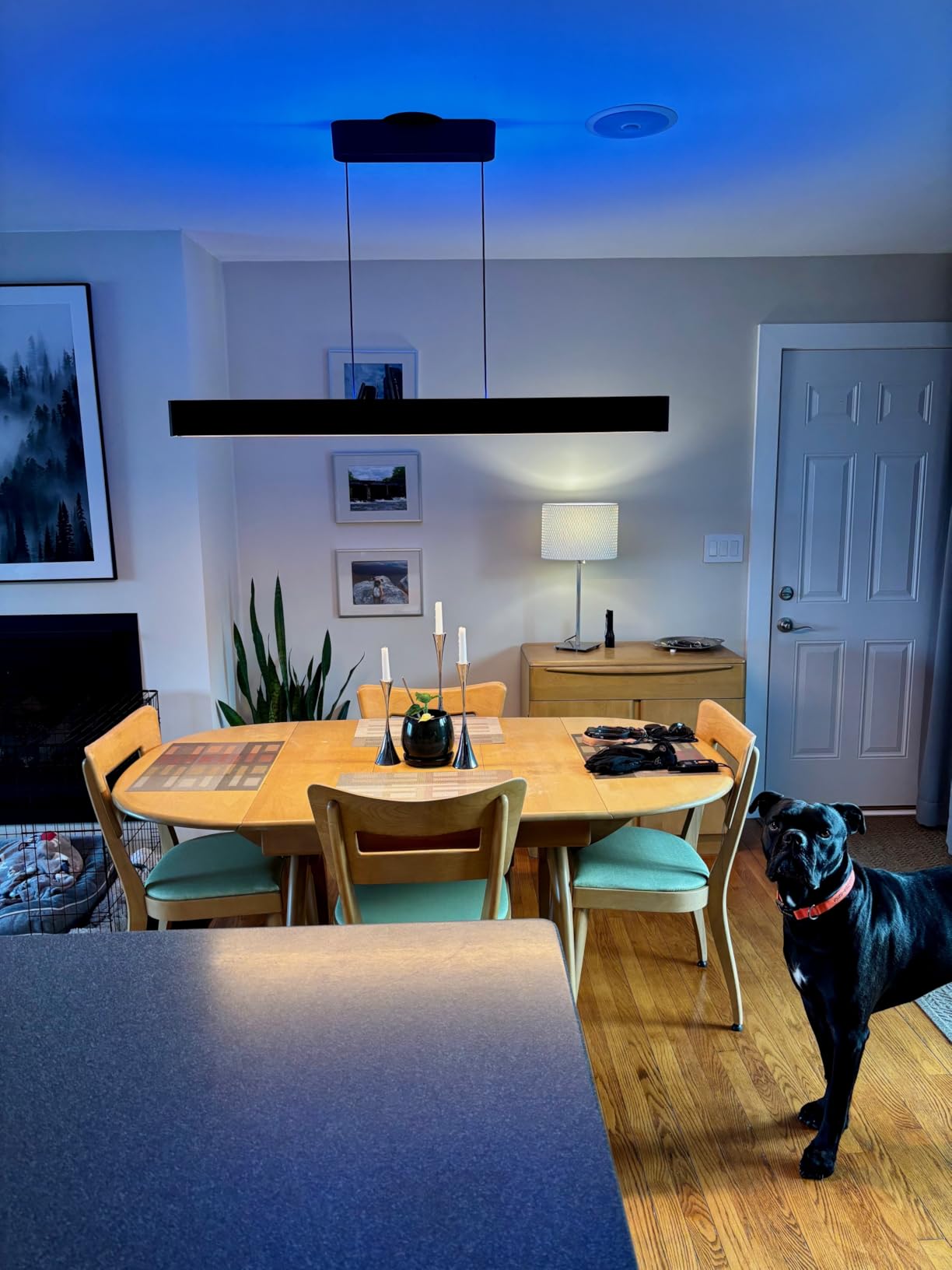 PHILIPS Hue Ensis Smart LED Pendant Light Black, Two LED Light Sources, White & Color Light, Bluetooth Compatible, Voice Control with Alexa, Apple Home & Google Assistant customer photo 1