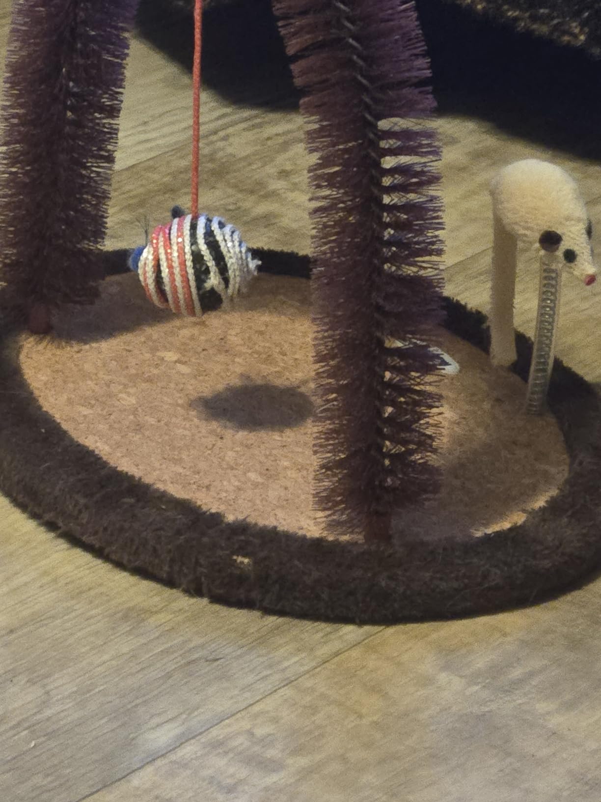 Pet Hair Removal Tools (3-Pack), Dog Cat Hair Remover Pro, Lint Shaver Cleaner, Fur Removal Carpet Scraper, Fuzz Hairball Brush for Carpet, Car Mat, Clothes, Couch, Pet Bed, Cat Tree, Furniture customer photo 2