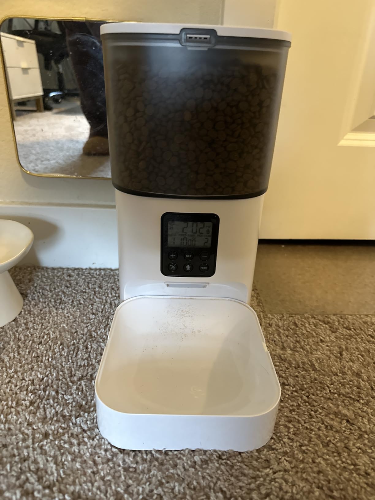 Automatic Cat Feeder, 4L Cat Food Dispenser with 10s Voice Recorder, Pet Feeder up to 8 Meals per Day, Timed Dog Feeder with Dry Food Sealed Ring (White, 4L-Basic) customer photo 1