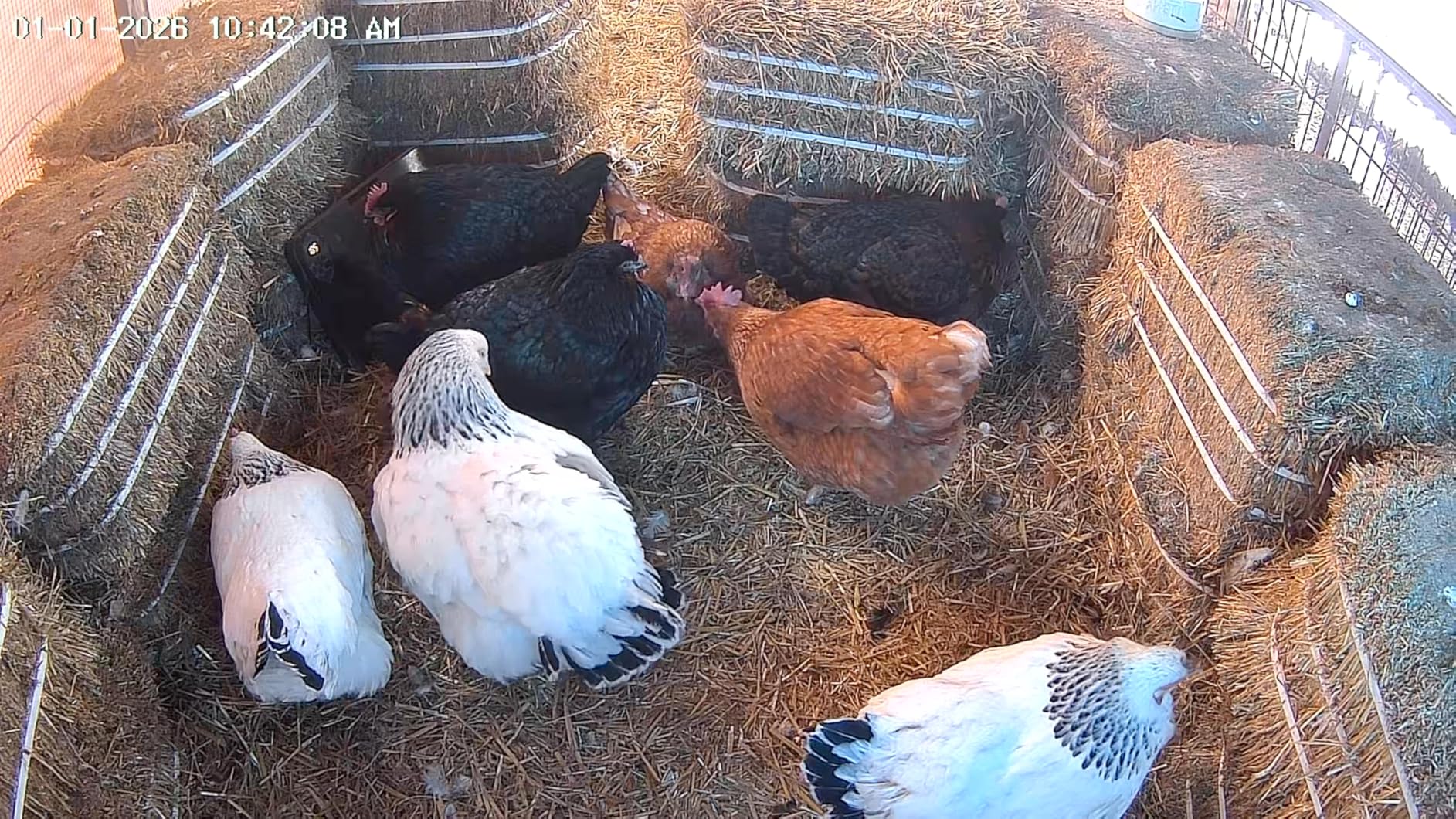 ThermoPro Bluetooth Thermometer Hygrometer, 260FT Range Temperature Sensor Greenhouse Thermometer, Remote App Control Temperature and Humidity Monitor with 2-Year Data Logging Export (TP351) customer photo 1