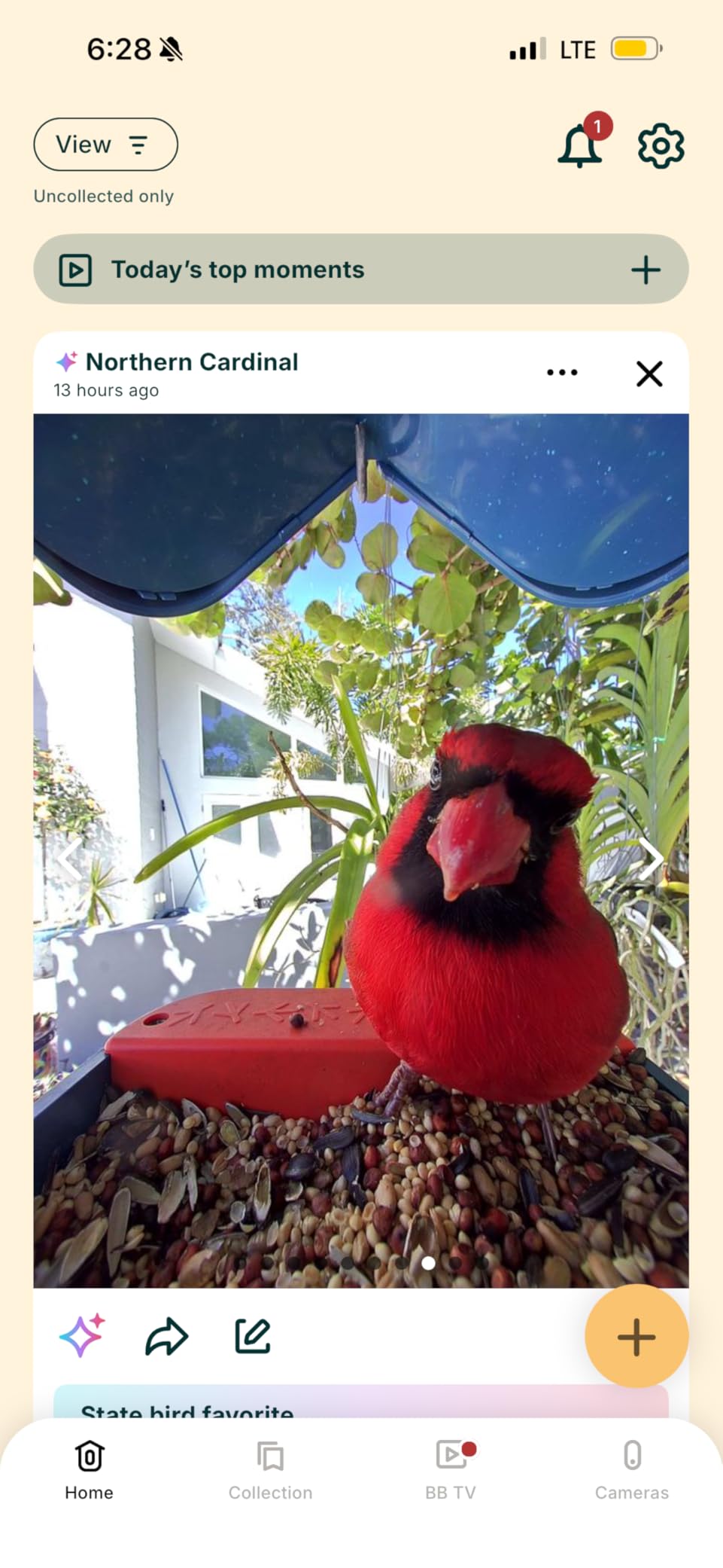 Birdbuddy Pro Solar Smart Bird Feeder with Camera, AI Bird ID, 2K Video | 2K video quality, 5MP Photos, 1/2.7