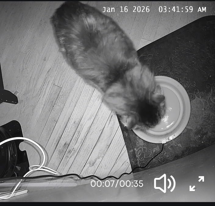 eufy Security Indoor Camera E30, Latest Generation, 4K UHD Security Camera, Pet/Dog/Baby Camera with Phone app, Color Night Vision, Human/Pet Auto Tracking, 360 Coverage, Works with Homekit, White customer photo 2