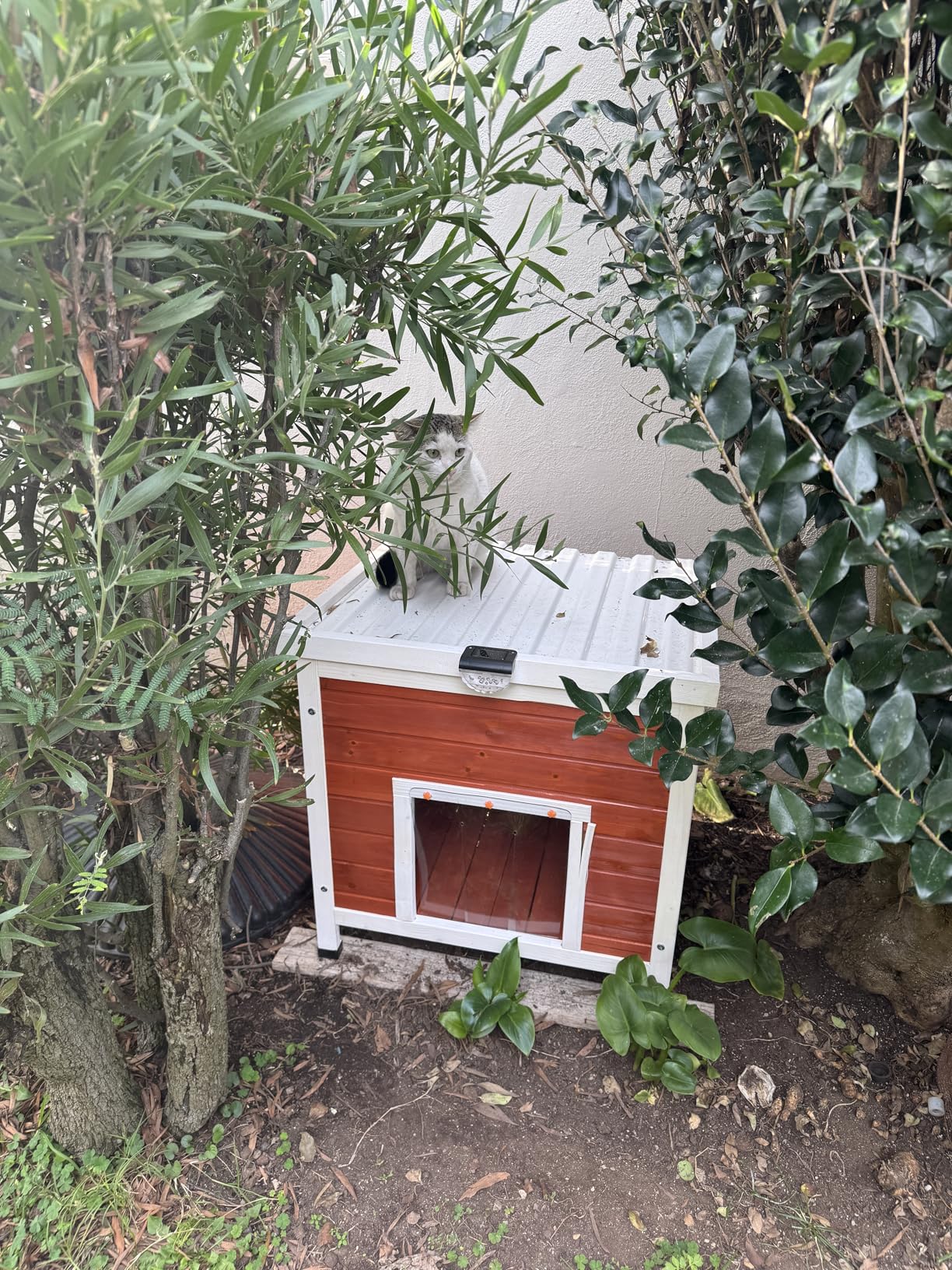 12 Pack Solar Deck Lights Outdoor, Solar Step Lights Waterproof for Outside, Yard, Patio, Garden, Pool, Railing, Stairs, Fence (Warm White) customer photo 2