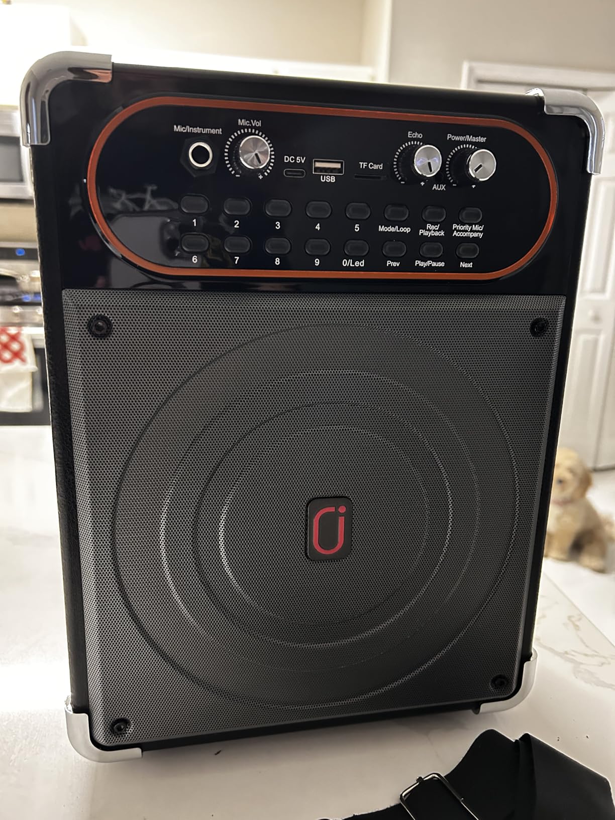 Karaoke Machine with 2 Zero Delay Mics for Adults, Karaoke Set for Parties | Support Karaoke Mode, MIC Priority, Automatic Bass & Treble Adjustment, Support TV Connectivity for Parties, Events, BBQs customer photo 2