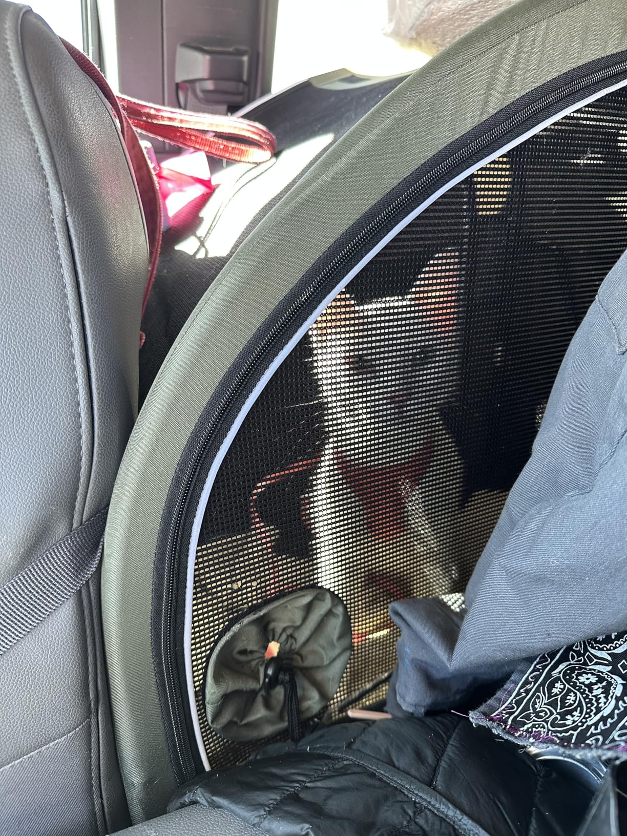 PAWZIDEA Portable Dog Crate for Car Travel, Collapsible Pet Travel Crates for Medium & Large Dogs Up to 80lbs, Enclosed Soft-Sided Car Kennel Carrier for Backseat, Secures w/Seatbelt & Headrest Strap customer photo 2