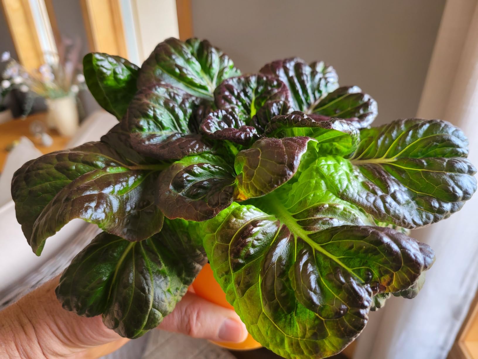 Barrina TX72 Grow Light for Indoor Plants, 4FT, 288W(4 x 72W, 2000W Equivalent), Full Spectrum with 660nm Red LEDs, High PPFD, Mechanical Timer, Linkable, Hanging Plant Lights for Greenhouse, 4 Pack customer photo 2