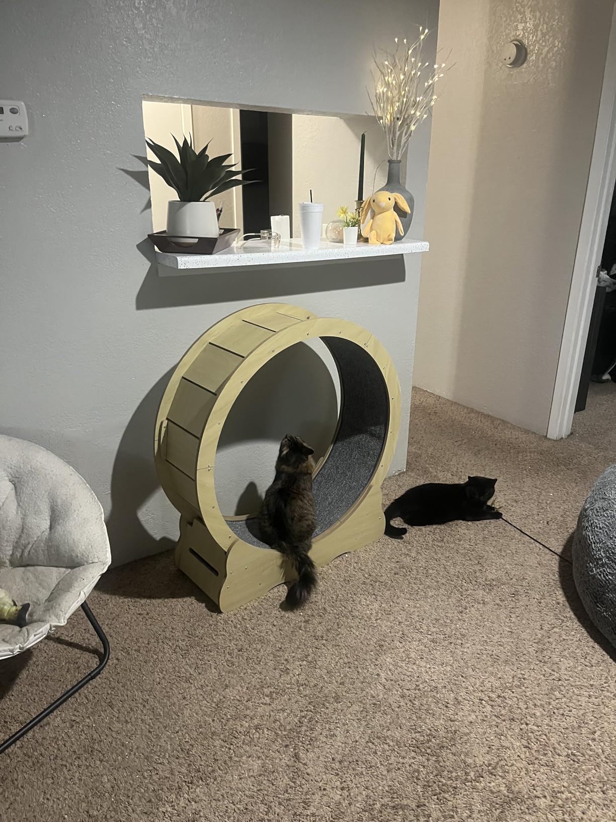 VEVOR Cat Exercise Wheel, 43.3