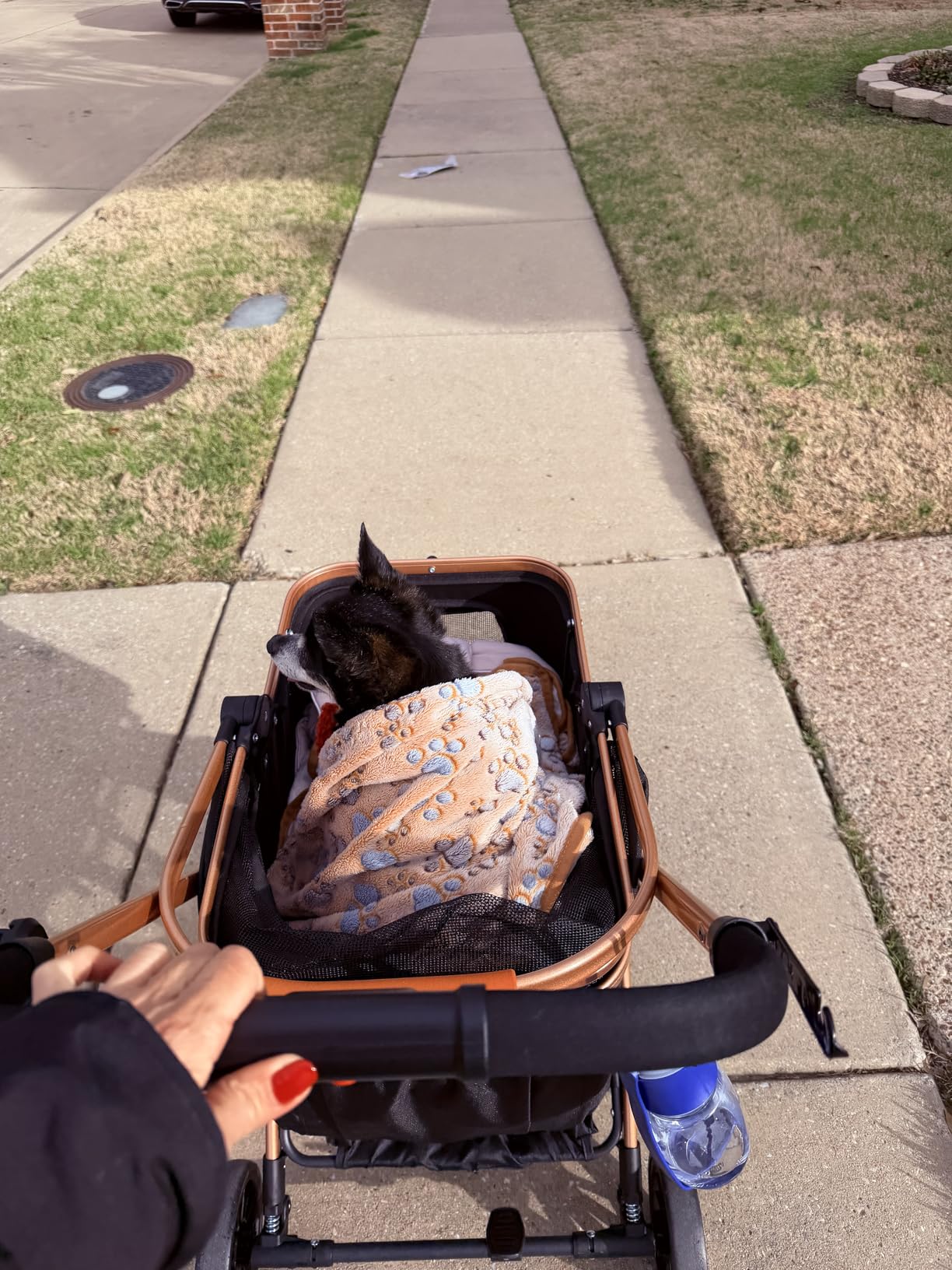 Pet Stroller for Small Dogs, Lightweight Small Dog Stroller for Dogs Cats with 6 Shock Absorption System, Detachable Carrier Suitable for Car Seat & Hand Carry, Safe Outings, Black customer photo 1