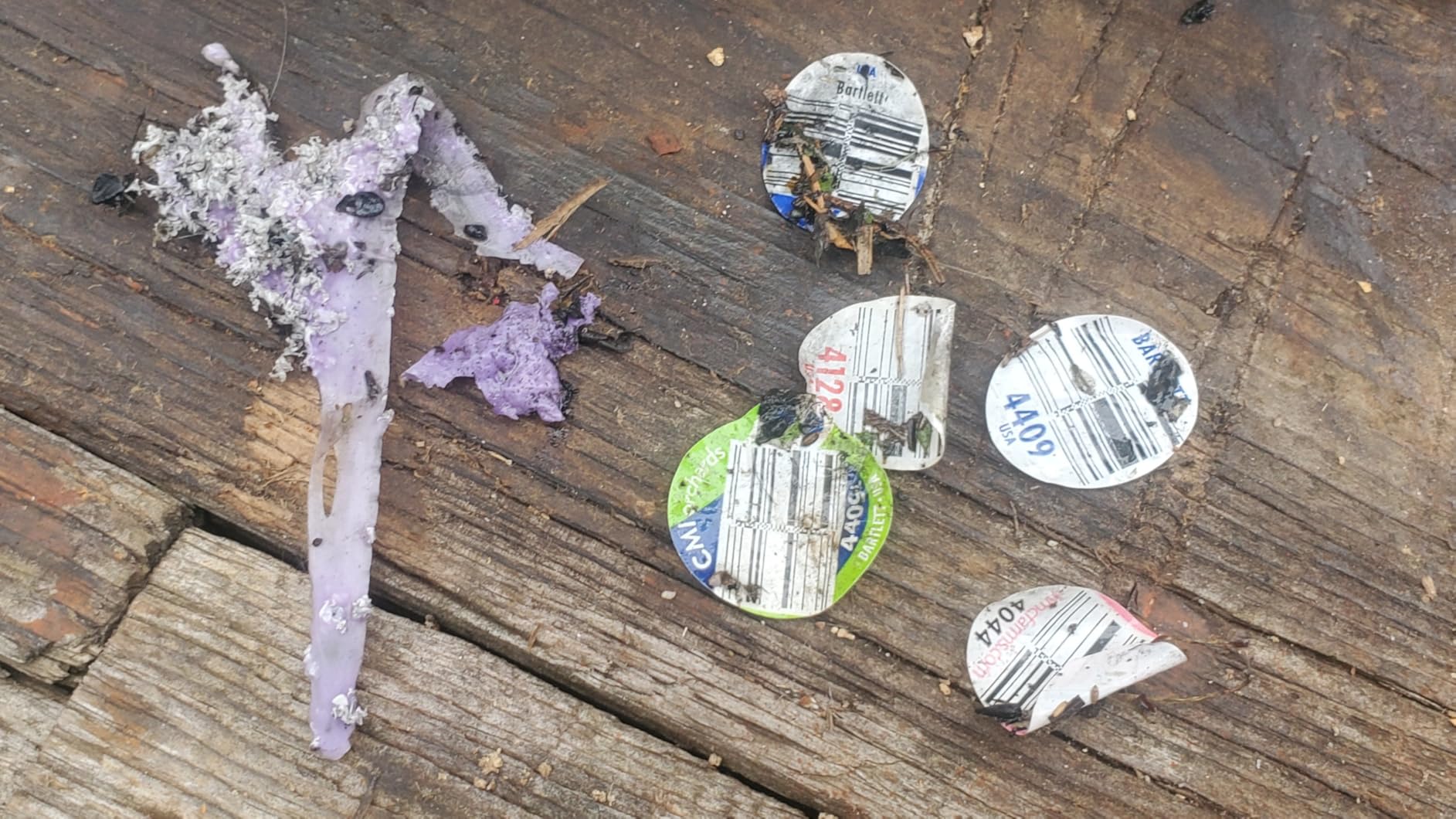 M MINGLE Sewer Jetter Kit for Pressure Washer 100 FT, Drain Cleaner Hose with Power Washer Gun, 1/4 Inch NPT Corner Rotating and Button Nose Sewer Jetting Nozzle, Orifice 4.0, 4.5 customer photo 2