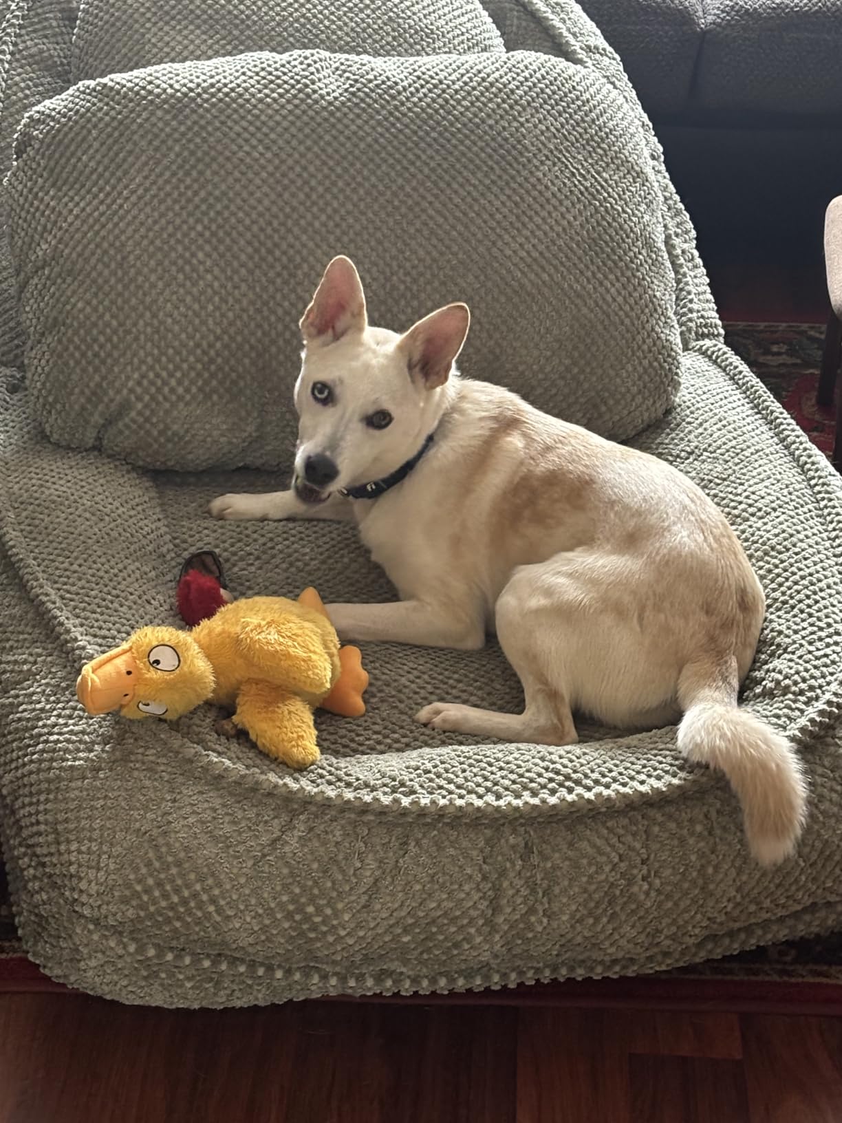 Human Dog Bed, Lazy Sofa Couch, Plush Floor Gaming Chair, 5 Adjustable Position, Sit, Sleep, Fold, Suit to Put in Bedroom, Living Room, Space Saving Design (White) customer photo 1