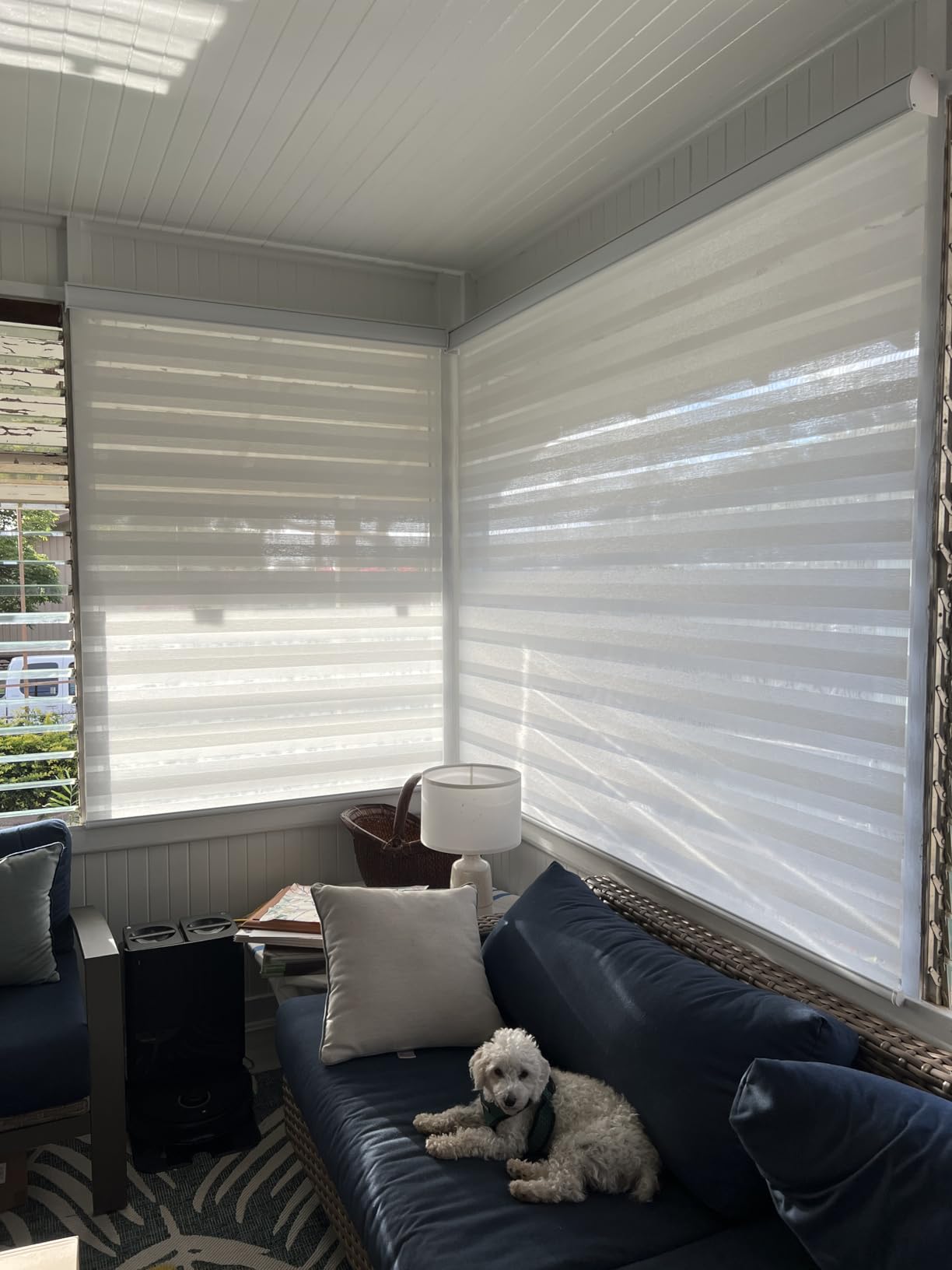 Kincmo Motorized Blinds with Remote, Motorized Zebra Shades Work with Apple HomeKit, Alexa, Google Home, Customized Electric Blinds with Remote, App, Voice Control (100% Blackout Gentle Black) customer photo 2