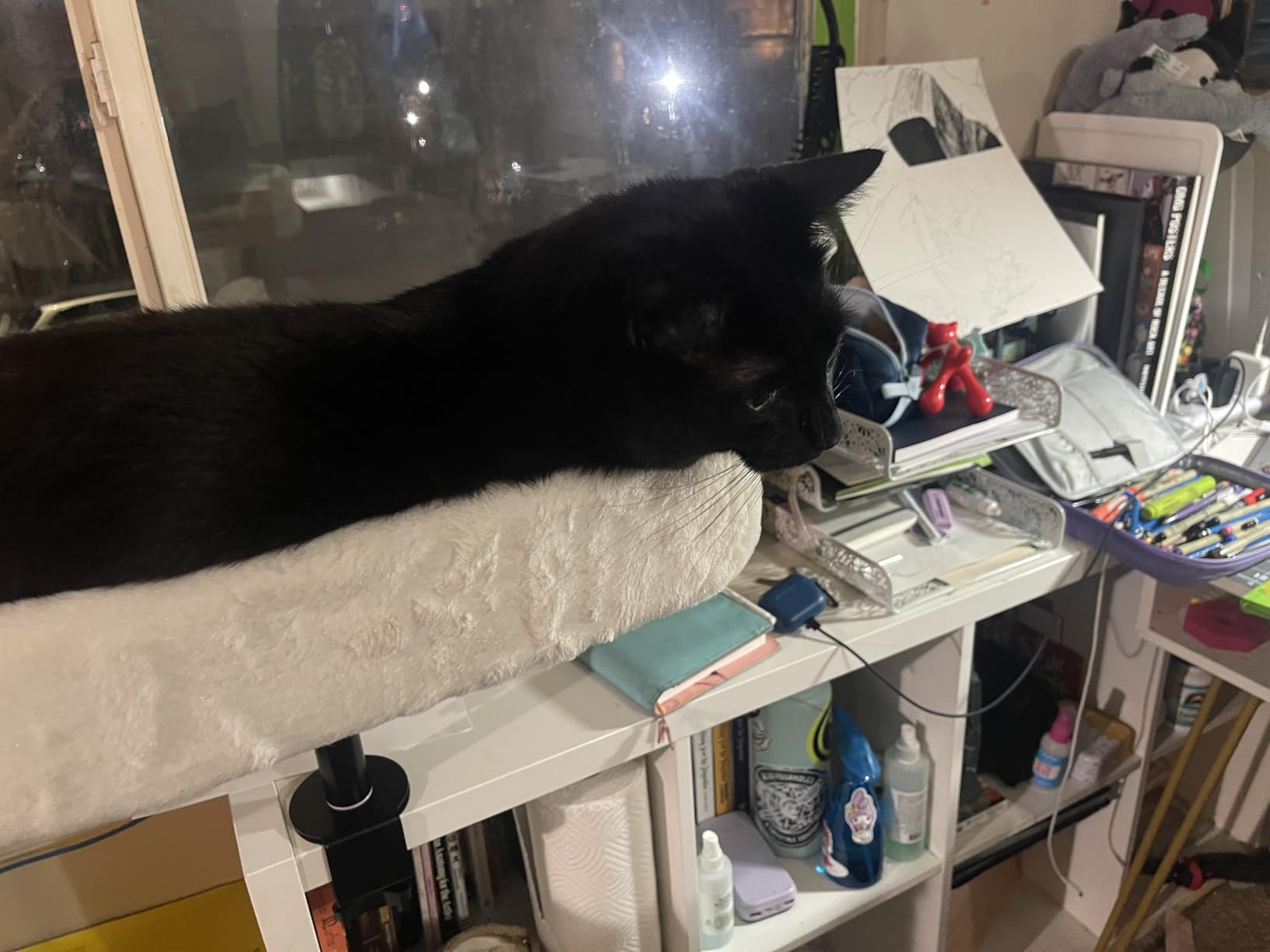 PAWZ Road Cat Desk Bed for Indoor Cats, Cat Bed for Desk Supports Up to 50 lbs, 360 Degrees Rotation & Adjustable, Nest Desktop Attachment Cats Hammock for Table, White customer photo 2