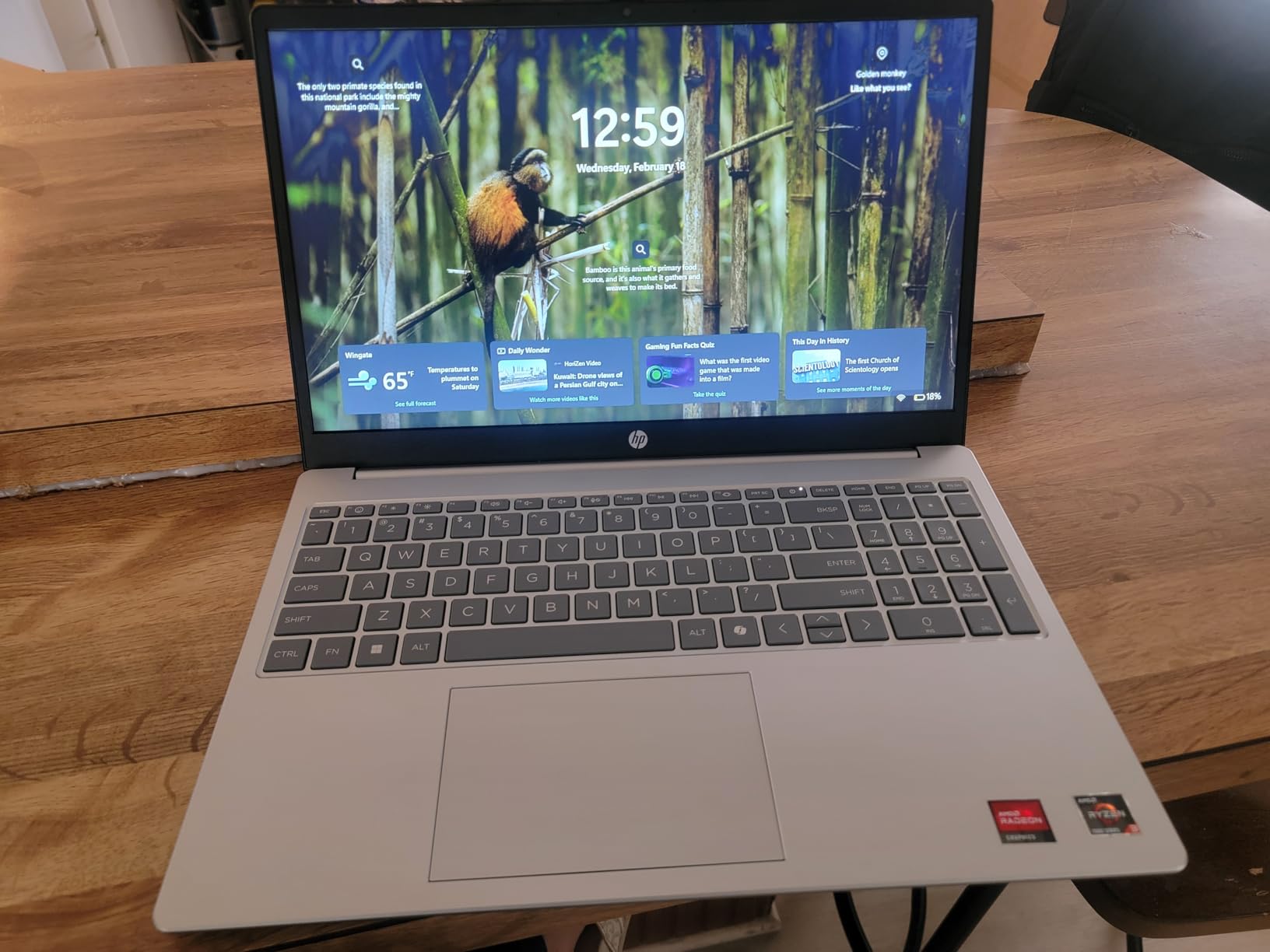 HP 15.6 inch Laptop, HD Touchscreen Display, AMD Ryzen 3 7320U, 8 GB RAM, 128 GB SSD, AMD Radeon Graphics, Windows 11 Home in S Mode customer photo 1