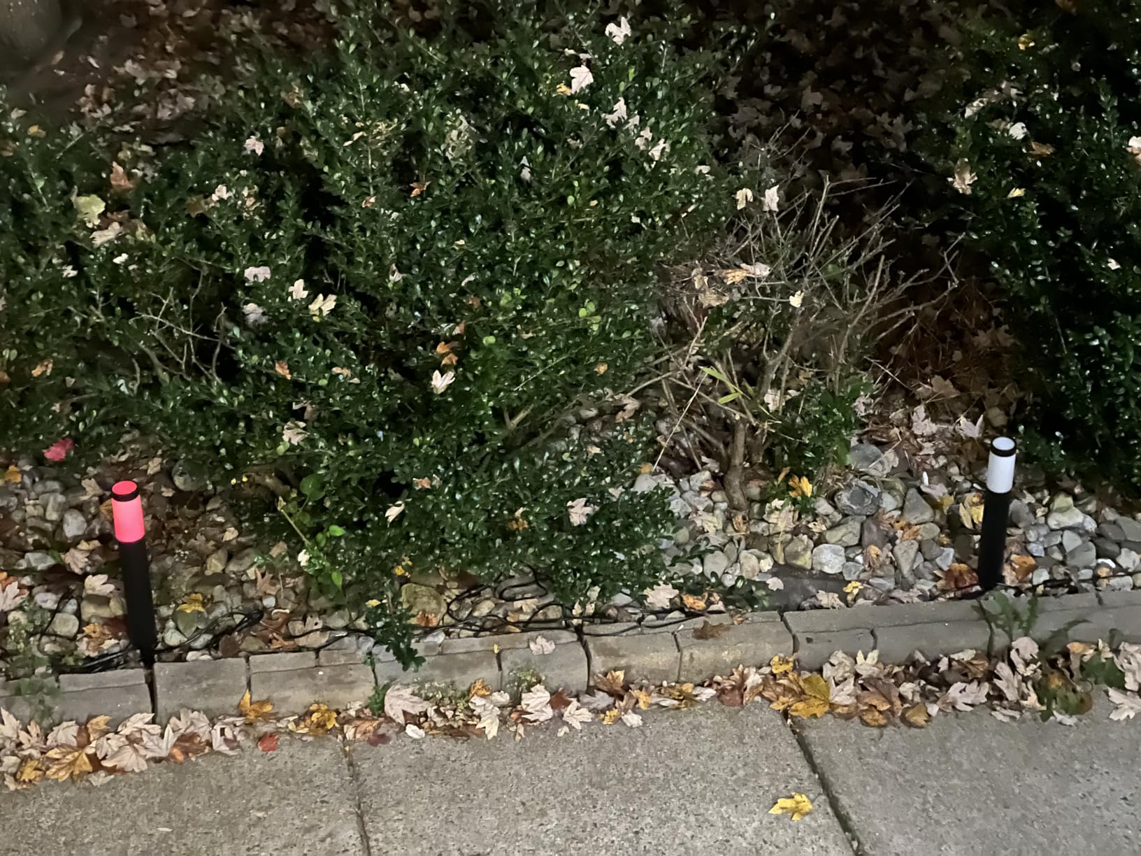 OUTON Outdoor Pathway Lights, 250LM RGBAICW Low Voltage Landscape Lighting, Smart Color Changing with APP/Voice/Remote Control, IP65 Aluminum Wired Walkway Lights for Garden, Patio, Yard, 4 Pack customer photo 1