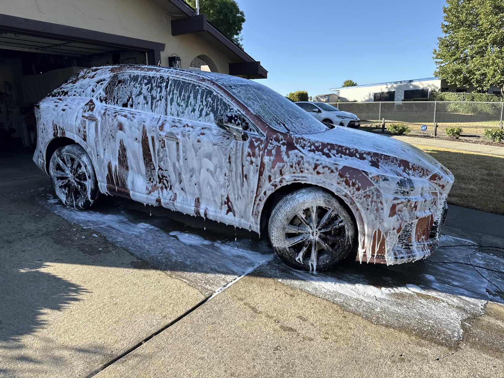 Tool Daily Foam Cannon with Dual Connector Accessory, 1/4 Inch Quick Connector, 5 Pressure Washer Nozzle Tips, 1 Liter customer photo 1