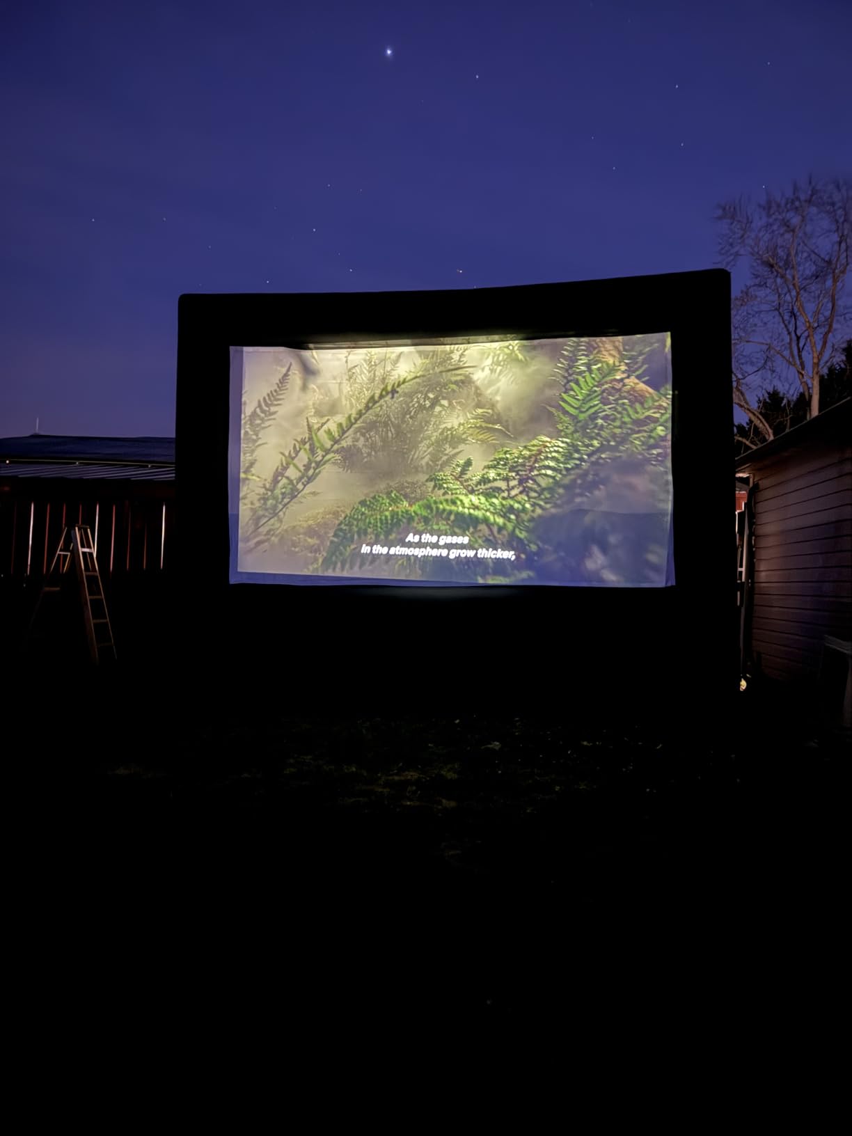 20ft Inflatable Projector Screen for Outside Inflatable Movie Screen Outdoor with Air Blower Storage Bag, Easy Set Up Blow Up Screen for Backyard Movie Night, Theme Parties, Celebrations customer photo 2