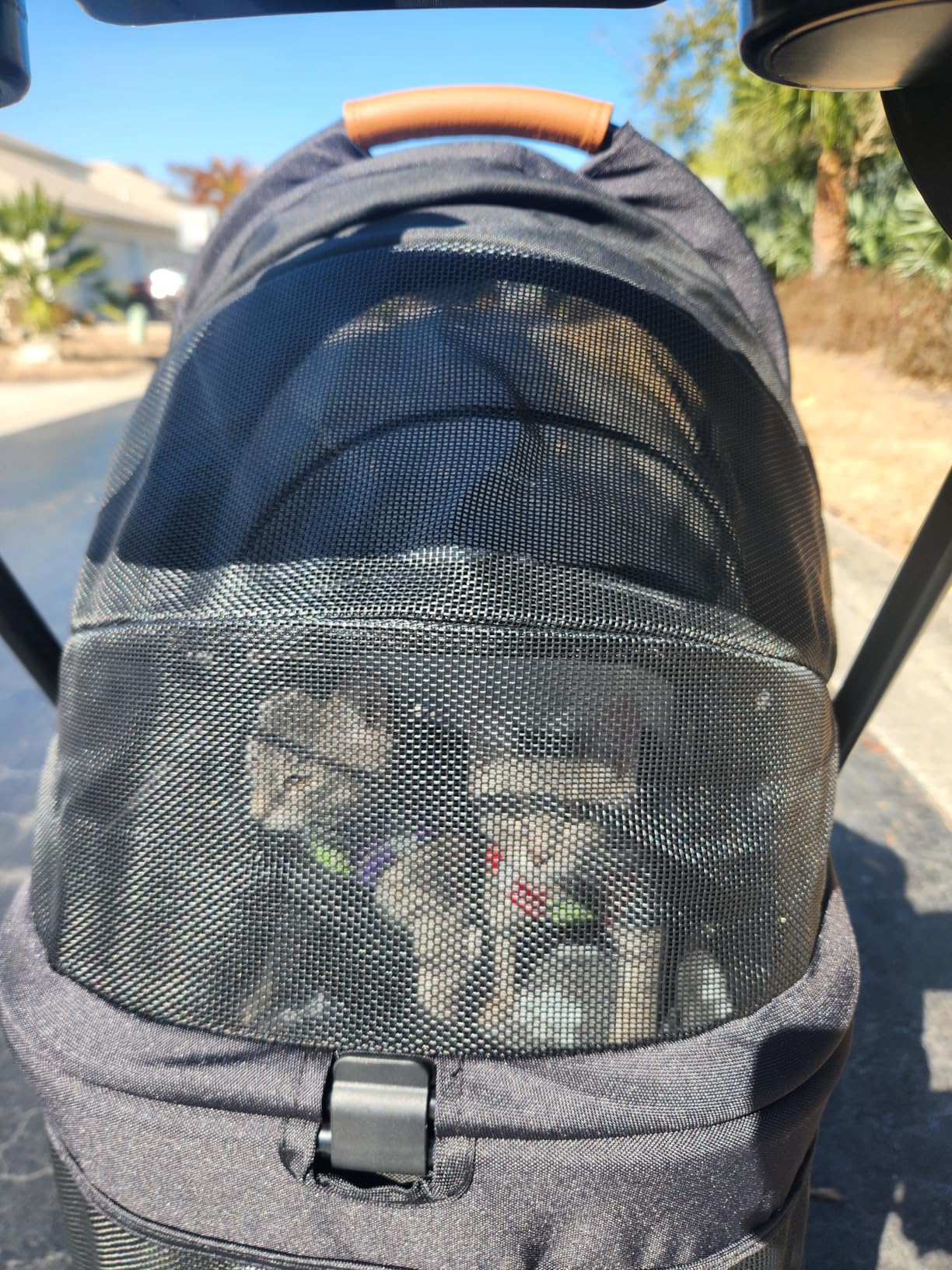 Zoosky 3 in 1 Dog Stroller, Folding Pet Stroller w/Removable Carrier customer photo 2