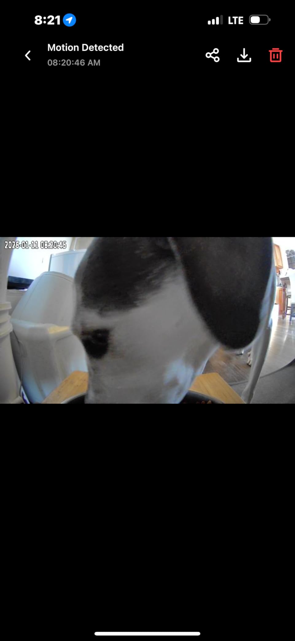 Automatic Dog Feeder Large Breed with Camera - 12L/50 Cups 5G WiFi App Control Dog Food Dispenser, Easy Setup, HD 1080P Video with Night Vision by Yakry customer photo 1