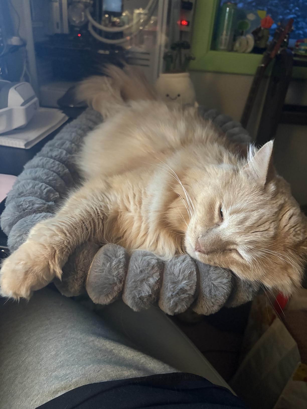 Pawow X-Large Cat Desk Bed - 90 Degrees Foldable Space-Saving Cat Beds, 2 Washable Covers (Faux Rabbit Fur & Cool Mesh), Heavy-Duty Frame Supports 40lbs, Easy Install Pet Perch for Office & Game Tables customer photo 1