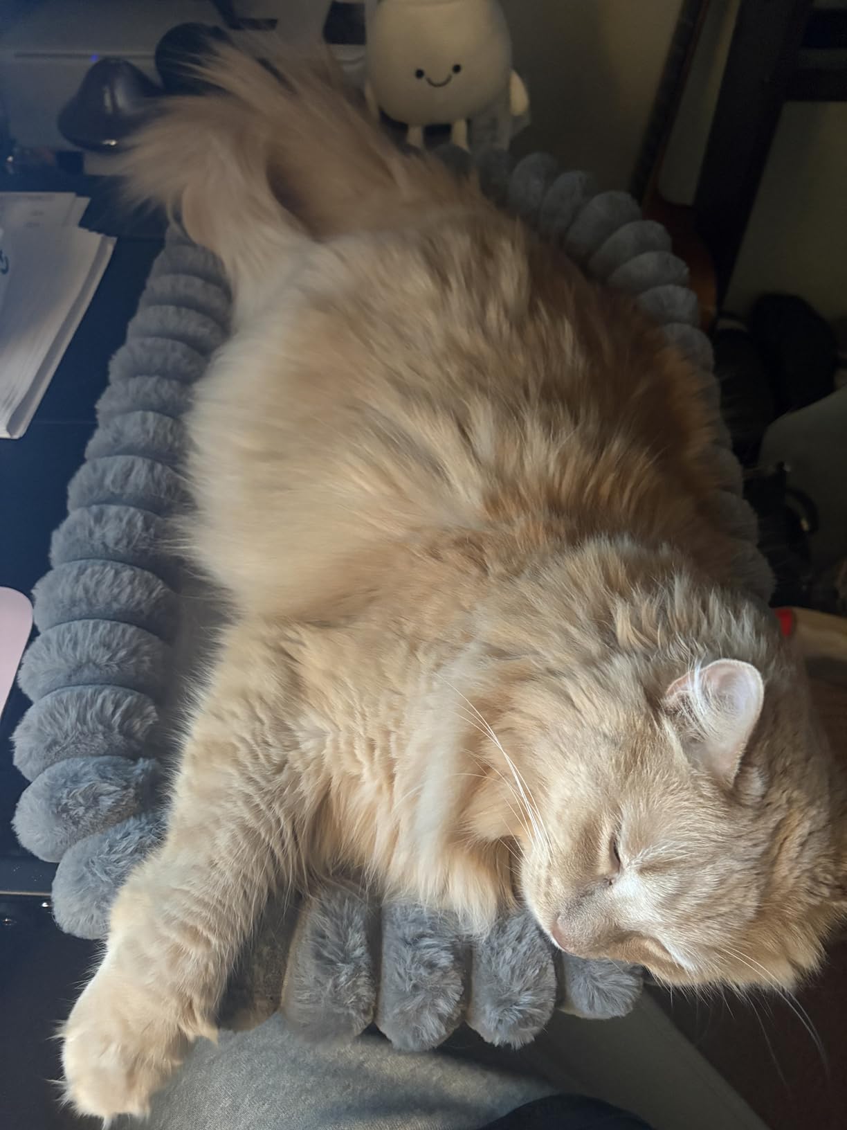 Pawow X-Large Cat Desk Bed - 90 Degrees Foldable Space-Saving Cat Beds, 2 Washable Covers (Faux Rabbit Fur & Cool Mesh), Heavy-Duty Frame Supports 40lbs, Easy Install Pet Perch for Office & Game Tables customer photo 2