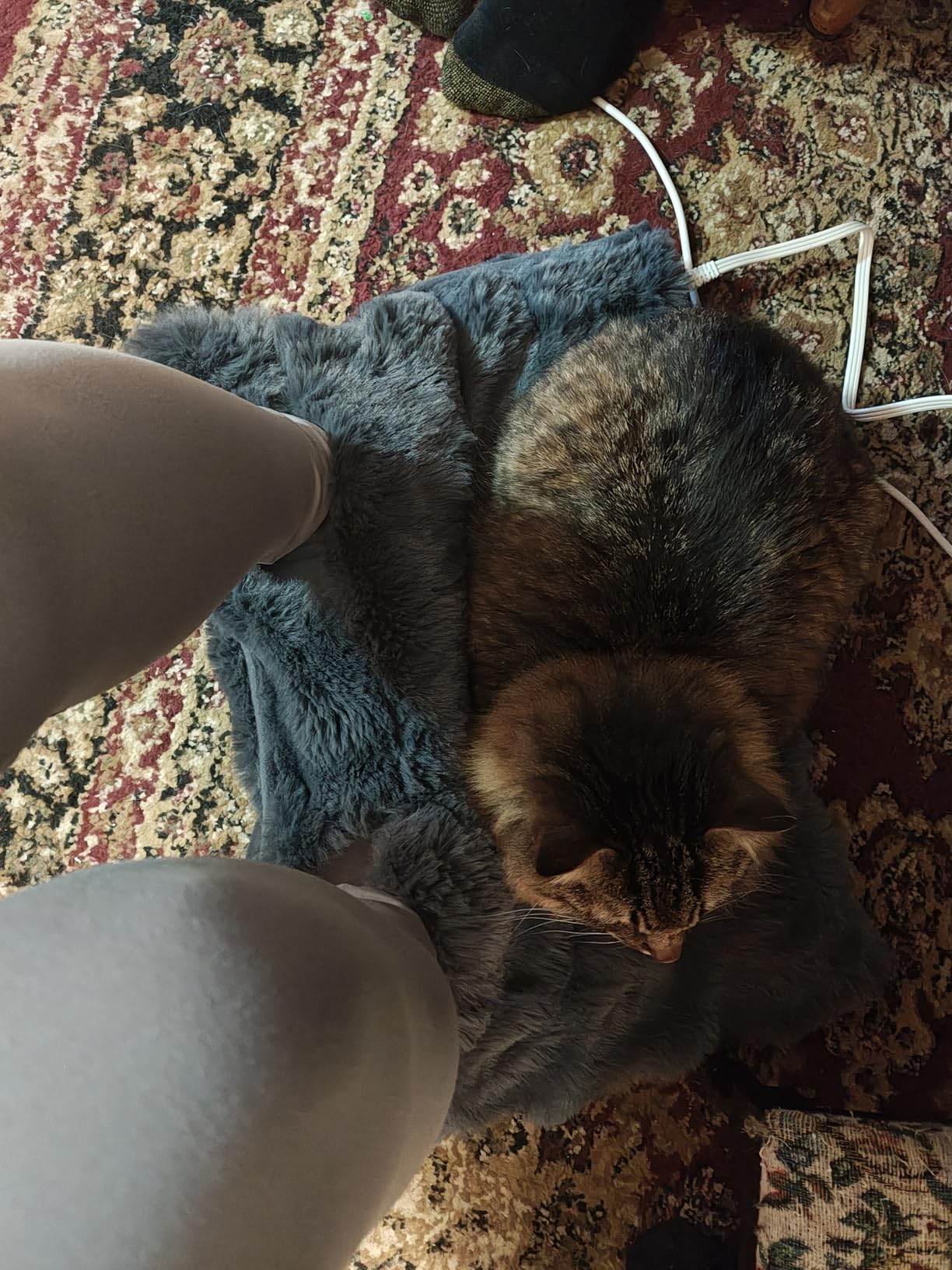 Electric Foot Warmer, Luxury Faux Fur Heating Pad for Feet Pain Relief Cramp, Heated Foot Warmer for Under Desk & Bed with 3 Heat Settings & 2H Auto-Off, ETL Certified customer photo 1