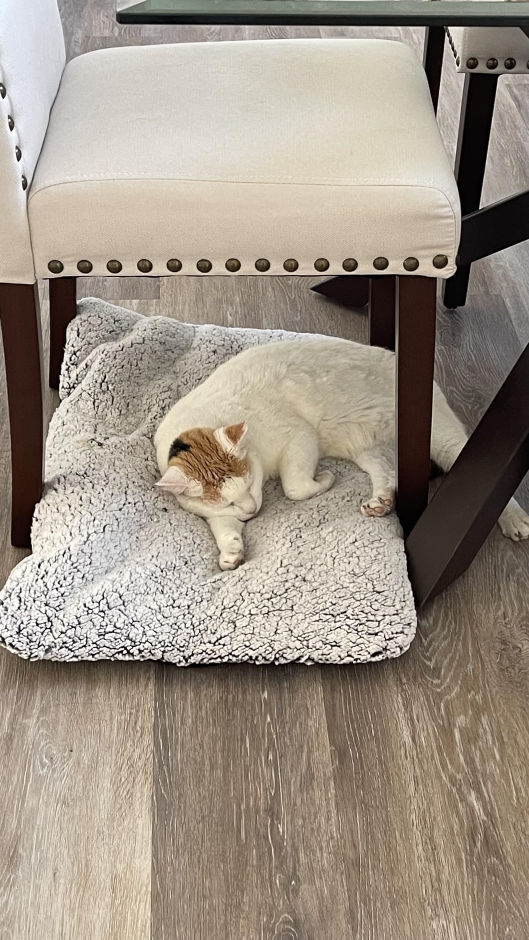 Self Warming Cat Bed, Heated Cat Bed, 2.0 Upgraded Thermal Foil Heating Pad, Plush Self-Heating Pet Mat for Crate, Floor, with Removable Washable Cover, Non-Slip, 15