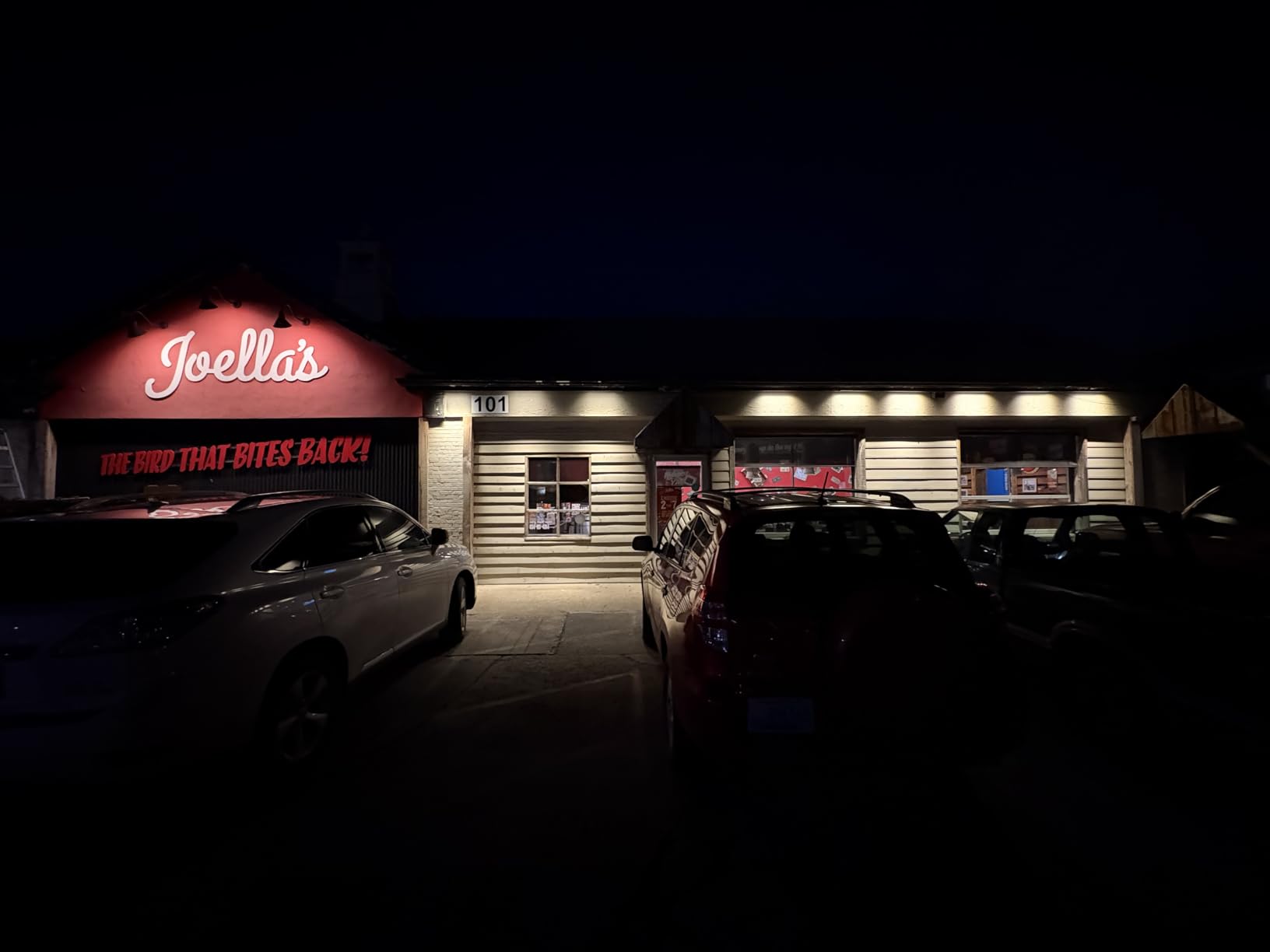 Smart LED Linear Wall Washer Light, 40 Inch Bluetooth Multi-Mount Pendant Light Versatility Hanging Fixtures, RGBCW 180W Dimmable Chandelier for Wall Washing, Adjustable Height customer photo 2